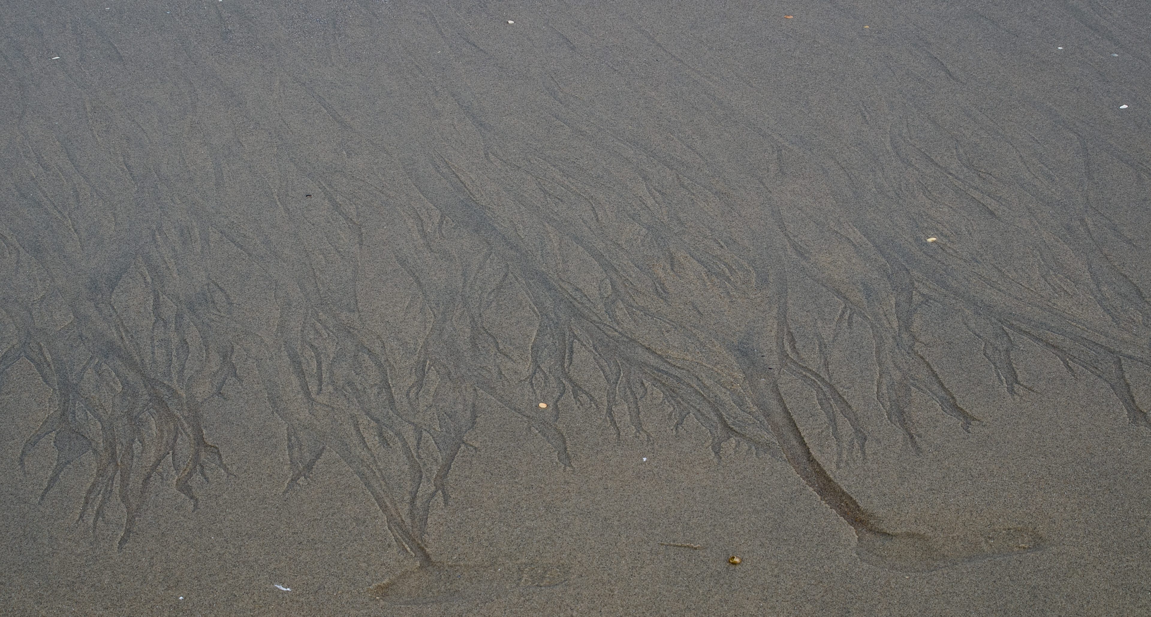 Patterns in the Sand Feb 19, 2018 Sandy Hook, NJ USA