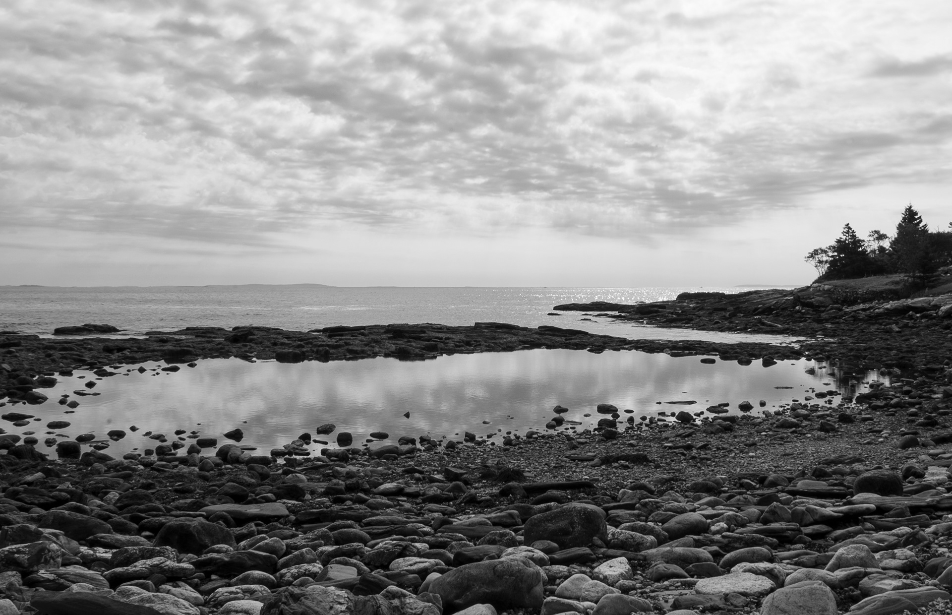 Rachel Carson Salt Pond Sept 8, 2021 Rachel Carson Salt Pond, ME USA