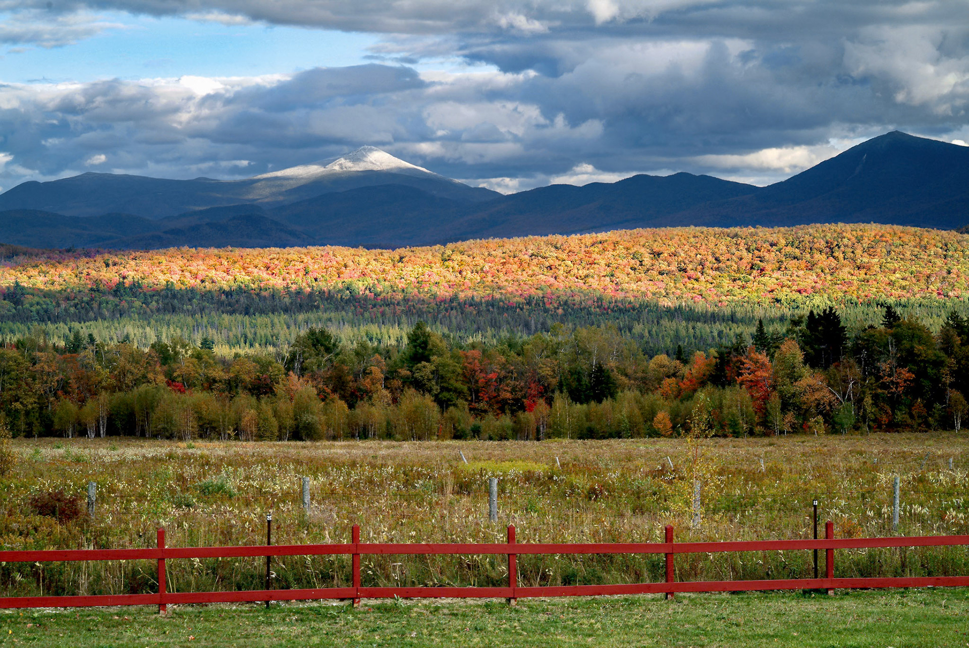 Whiteface and Red Fence