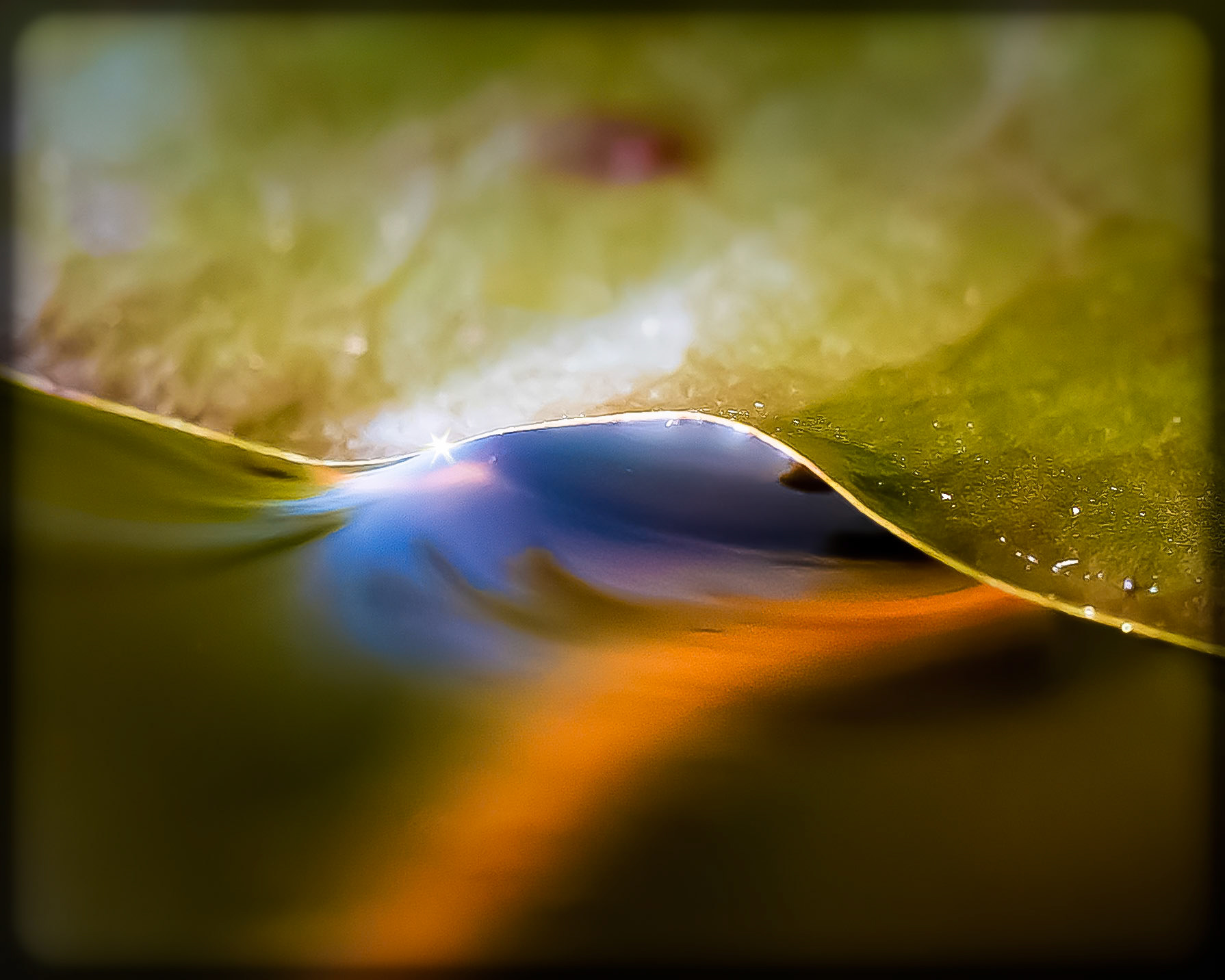 Shaping Water