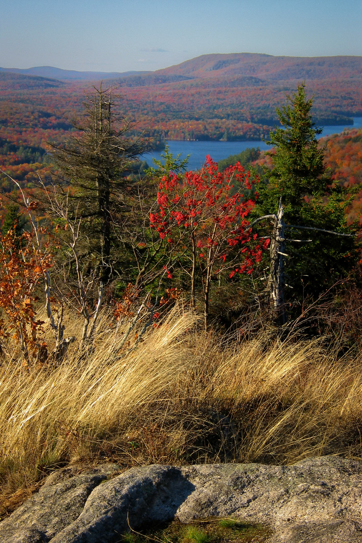 Tupper Lake from Coney