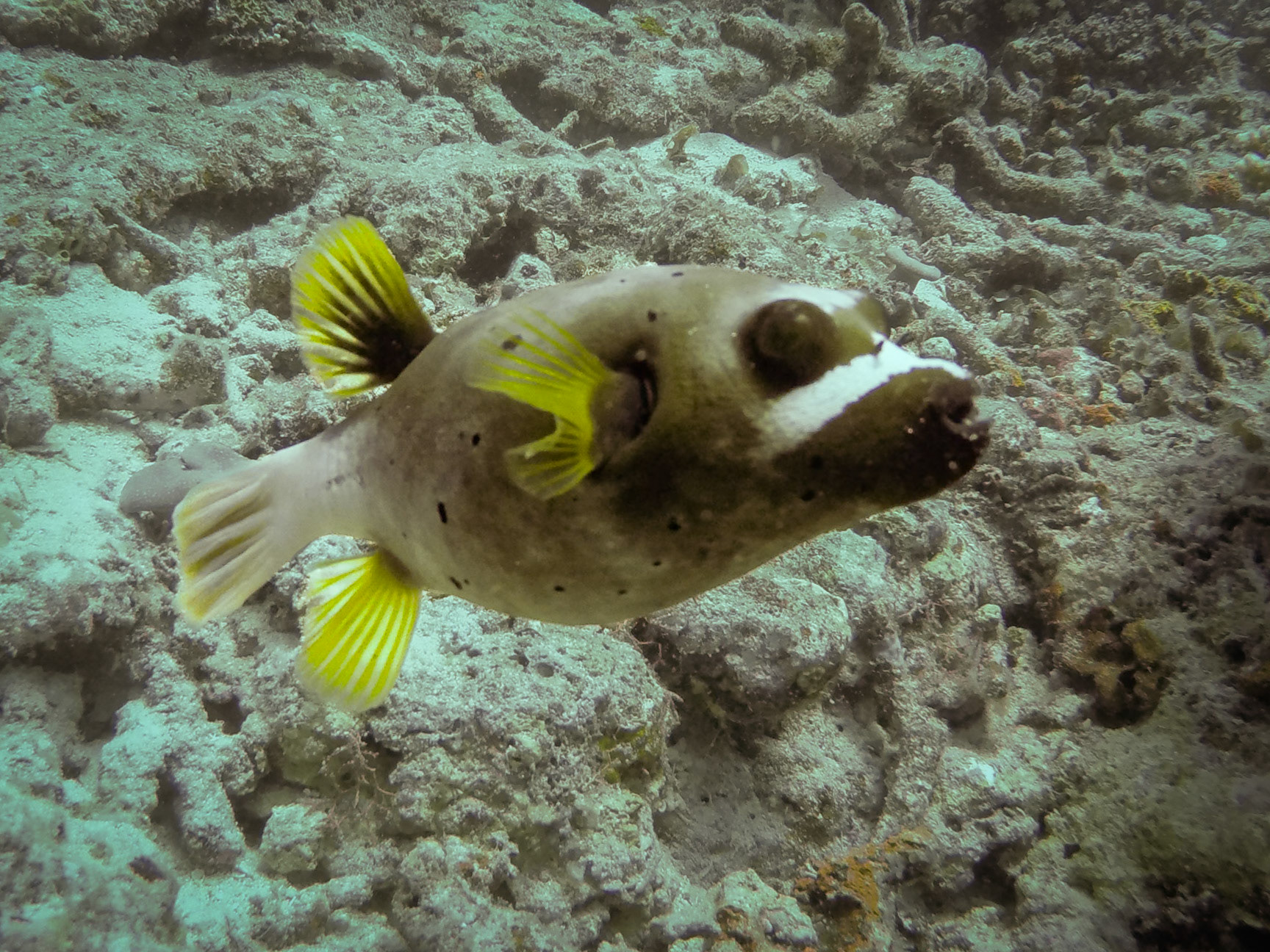 DCIM\100GOPRO\GOPR0168.