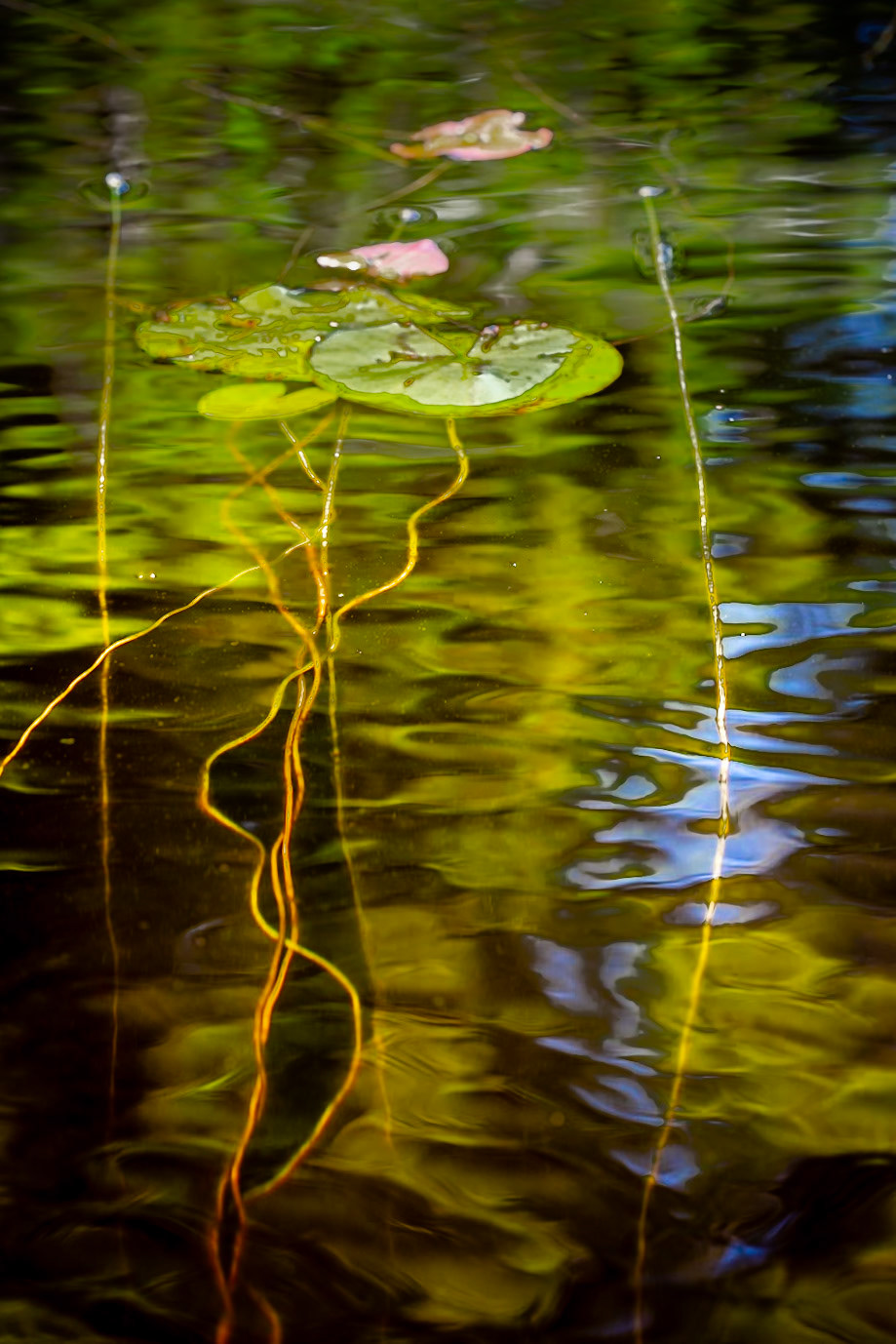 Channeling Monet