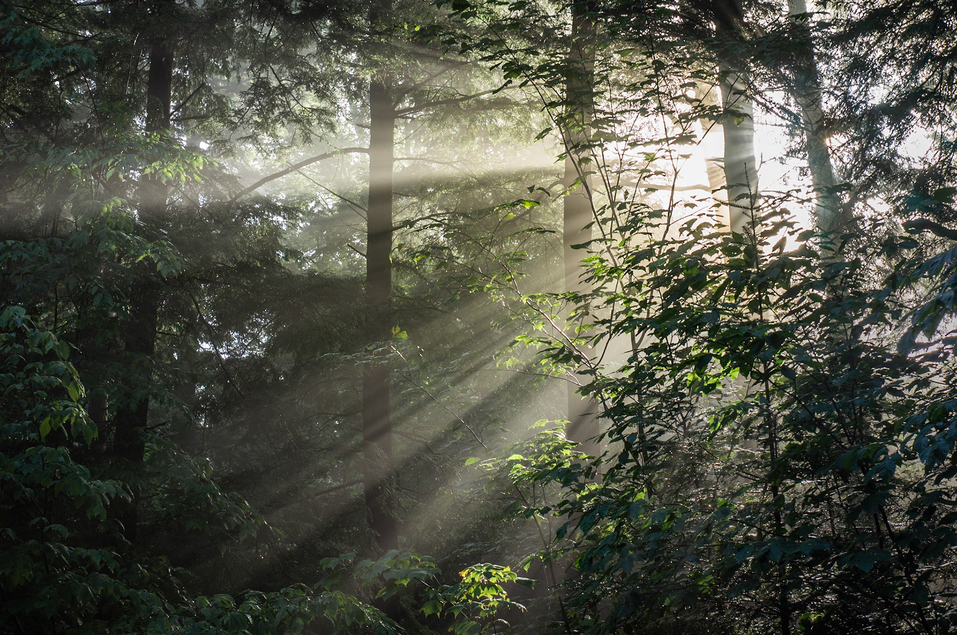 Breaking Through