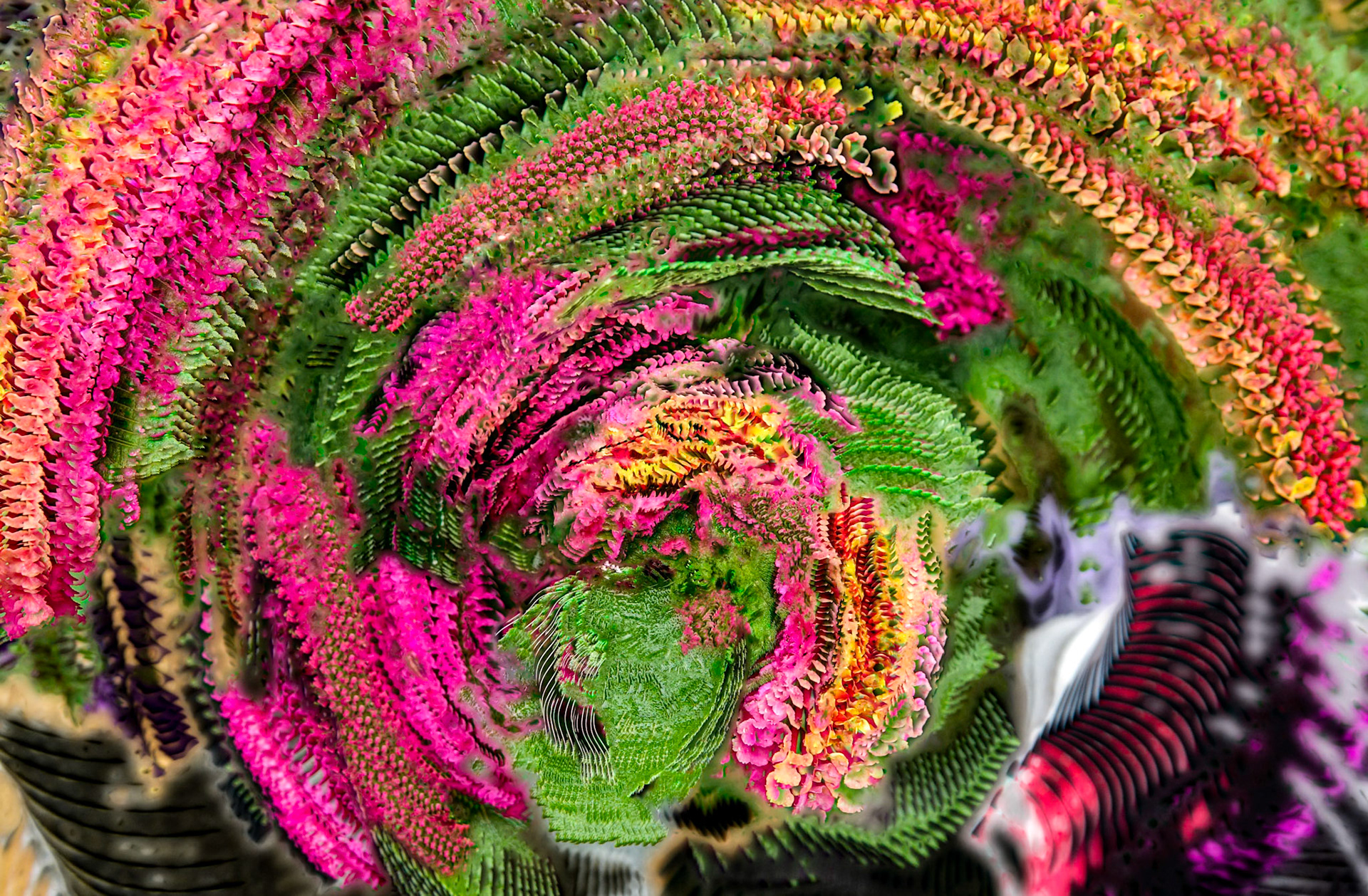 Jitter Colors