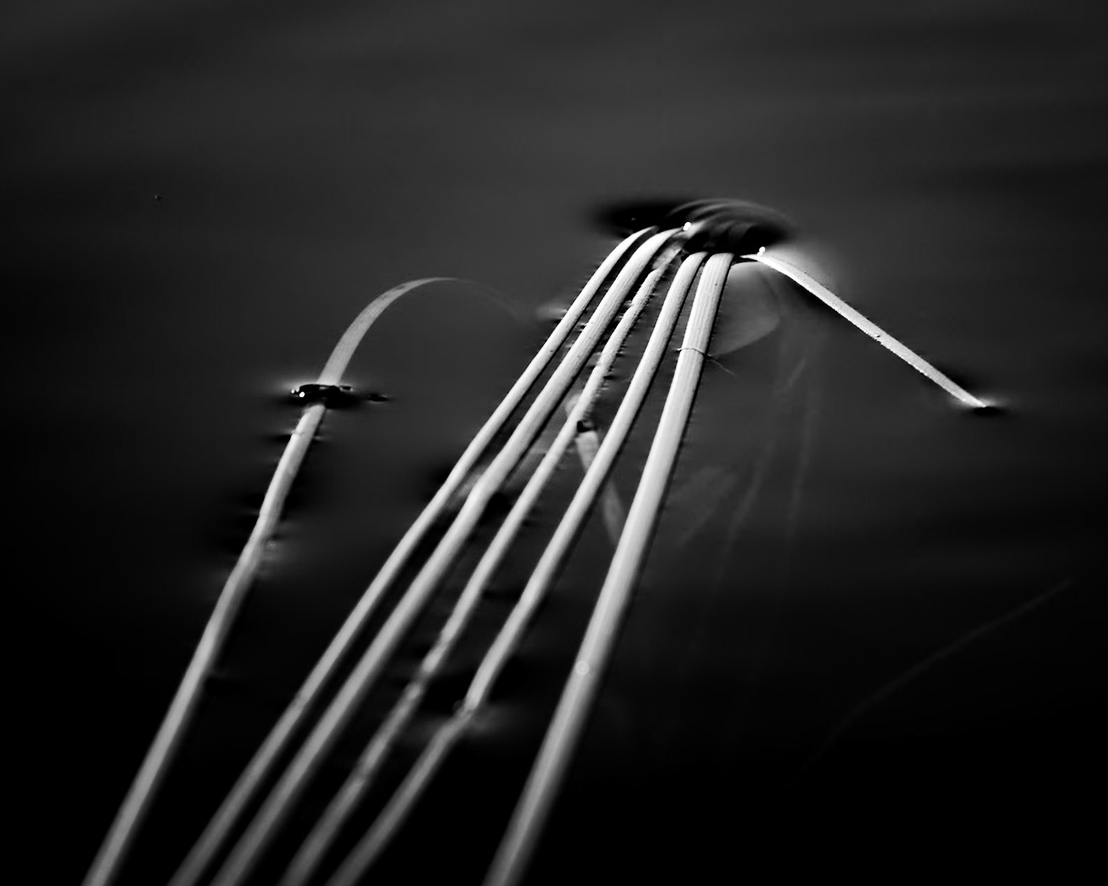 Leading Down