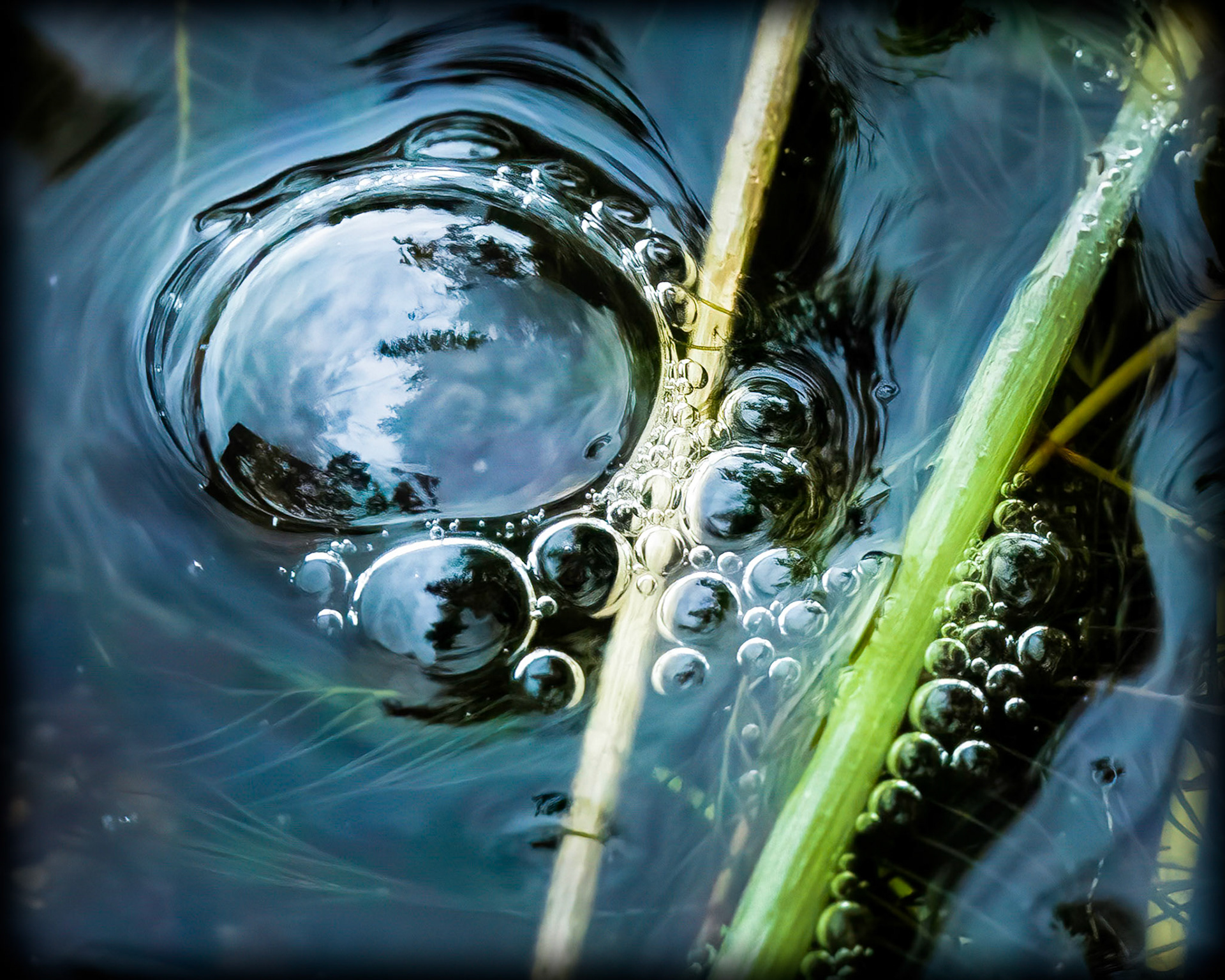 Water Bubble lenses