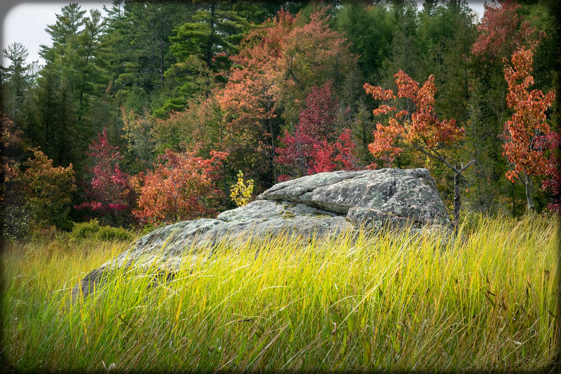 Rockin' Fall