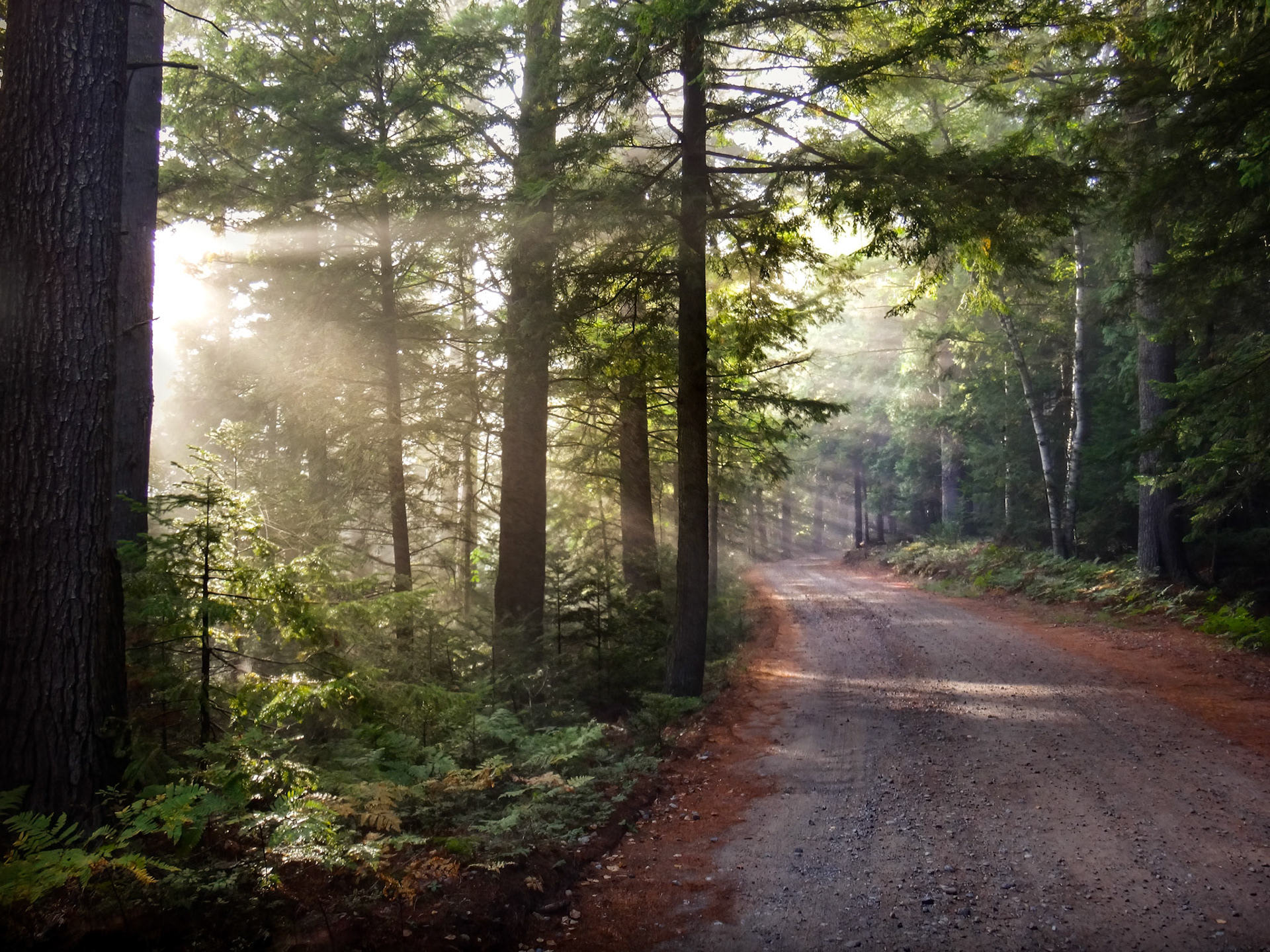 Road to Morning