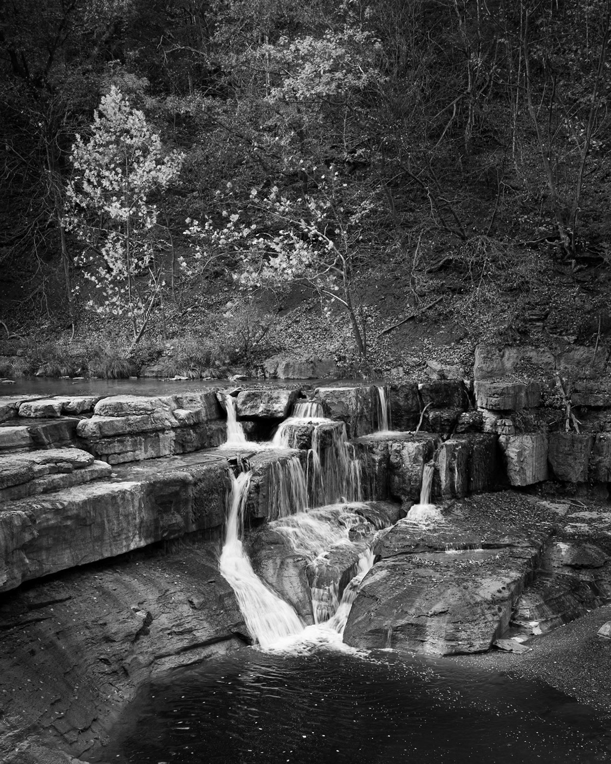 Fall Falls