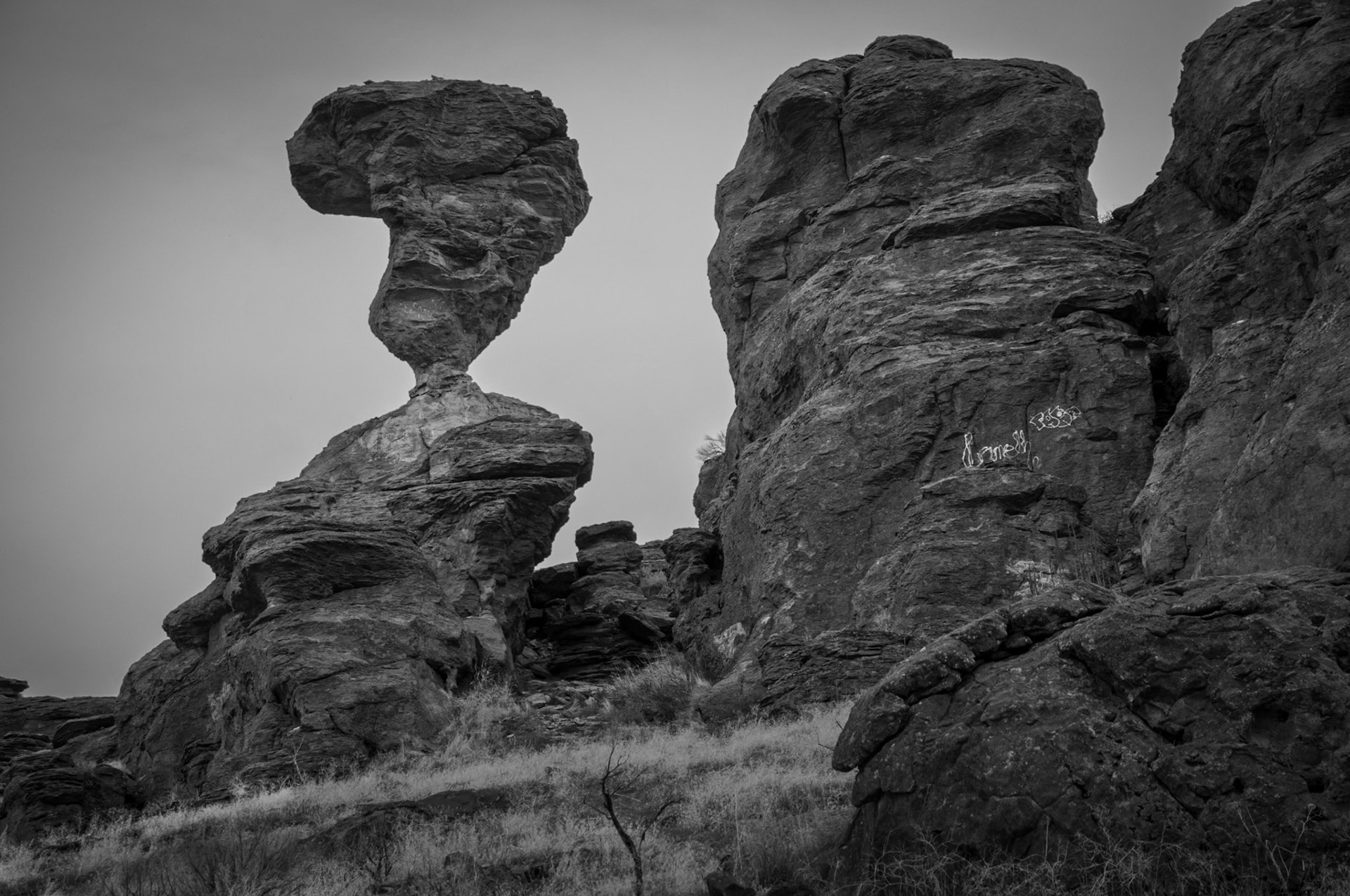 Copyright 2010 Burdette Parks