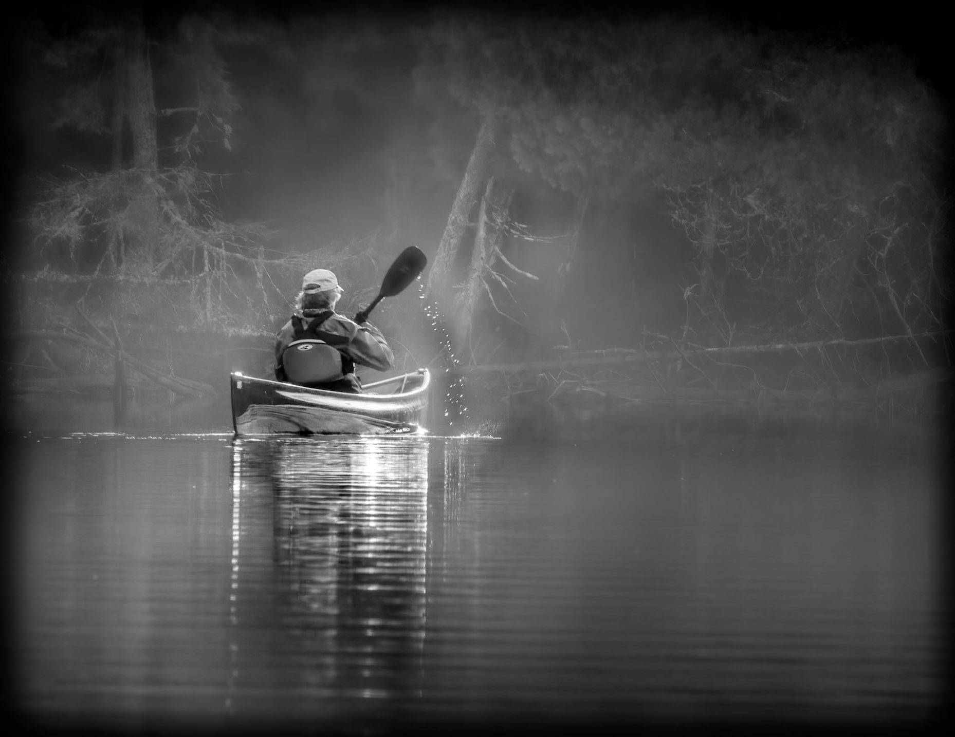 Misty Paddle
