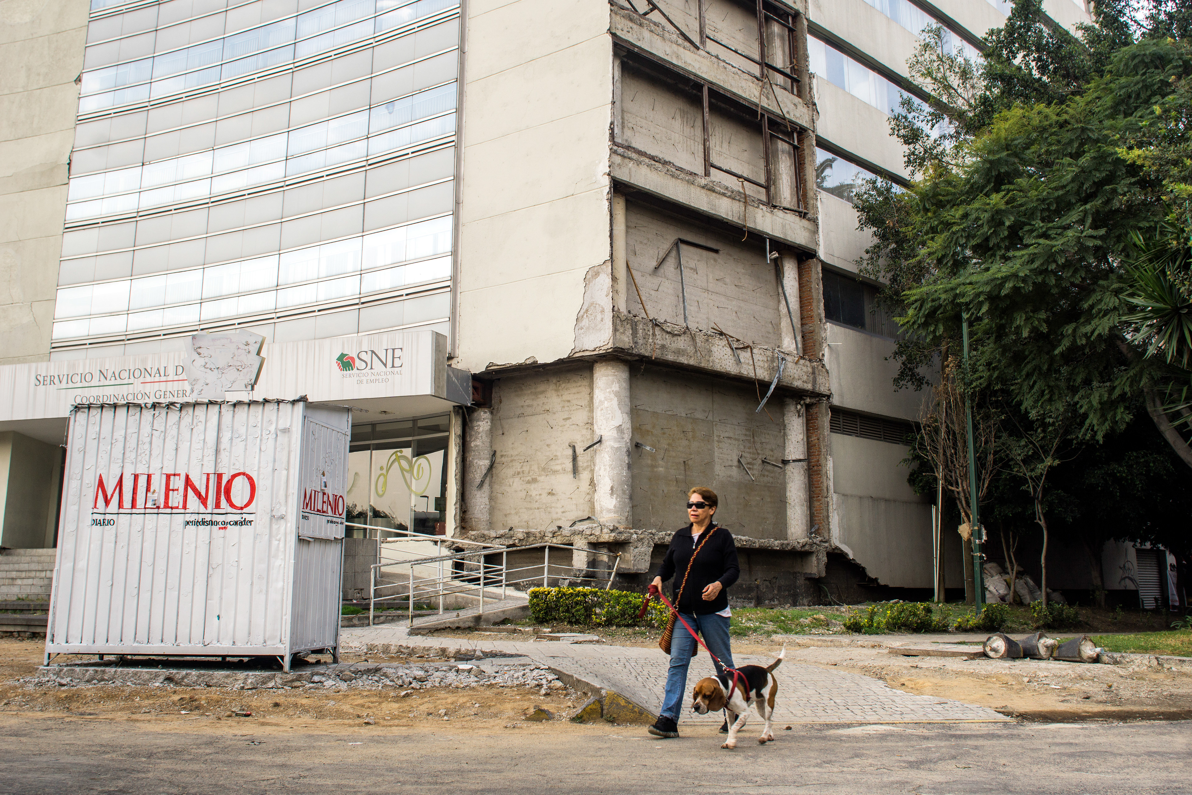 Una mujer camina con su perro frente al edificio federal del Sistema Nacional de Empleo, seriamente dañado y sin acordonar, el 30 de octubre de 2017. (foto: Prometeo Lucero)