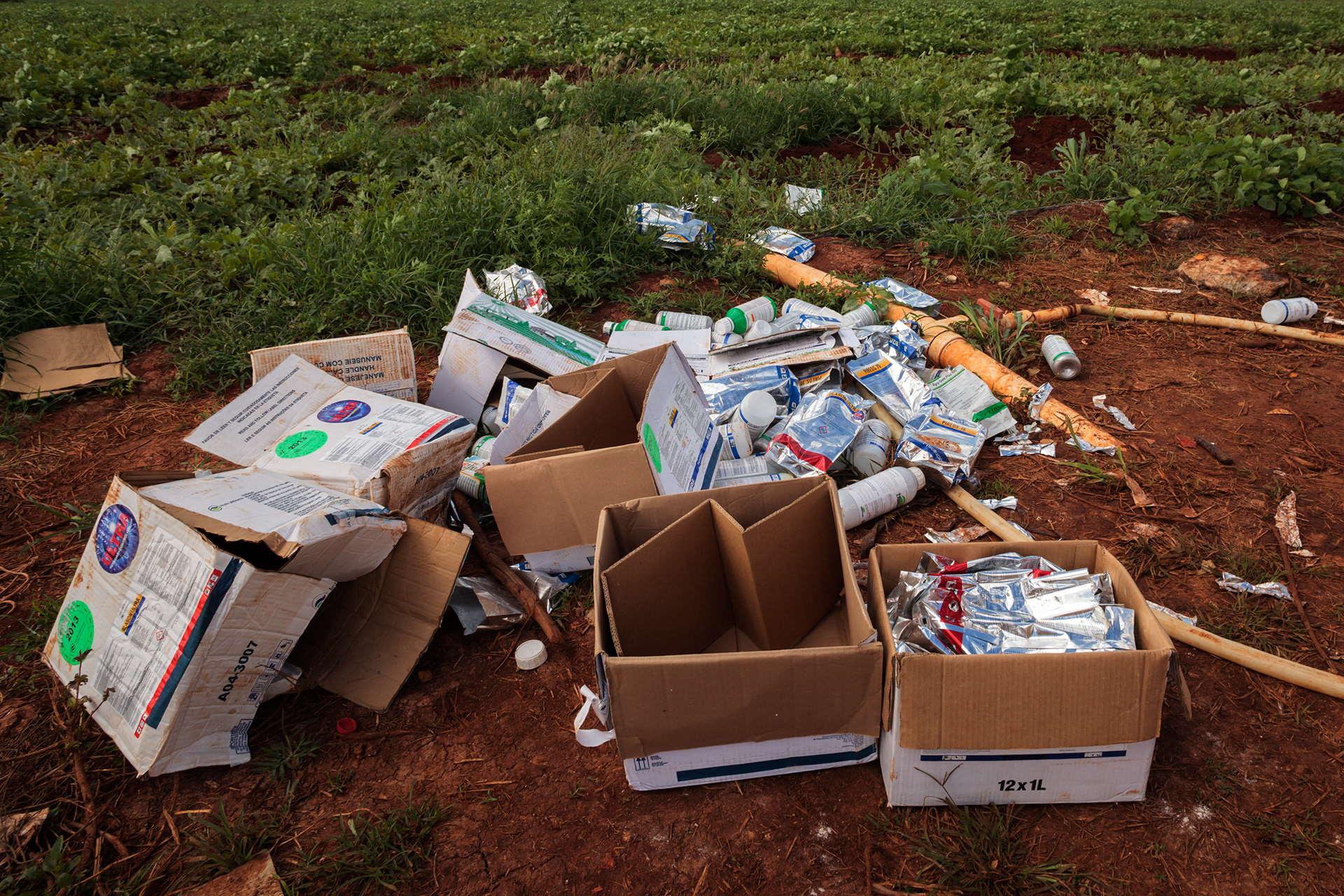 Desperdicios de envases agroquímicos en terreno en ejido Ixchec, Hopelchén, en plantaciones de sandía. (foto: Prometeo Lucero / Greenpece)