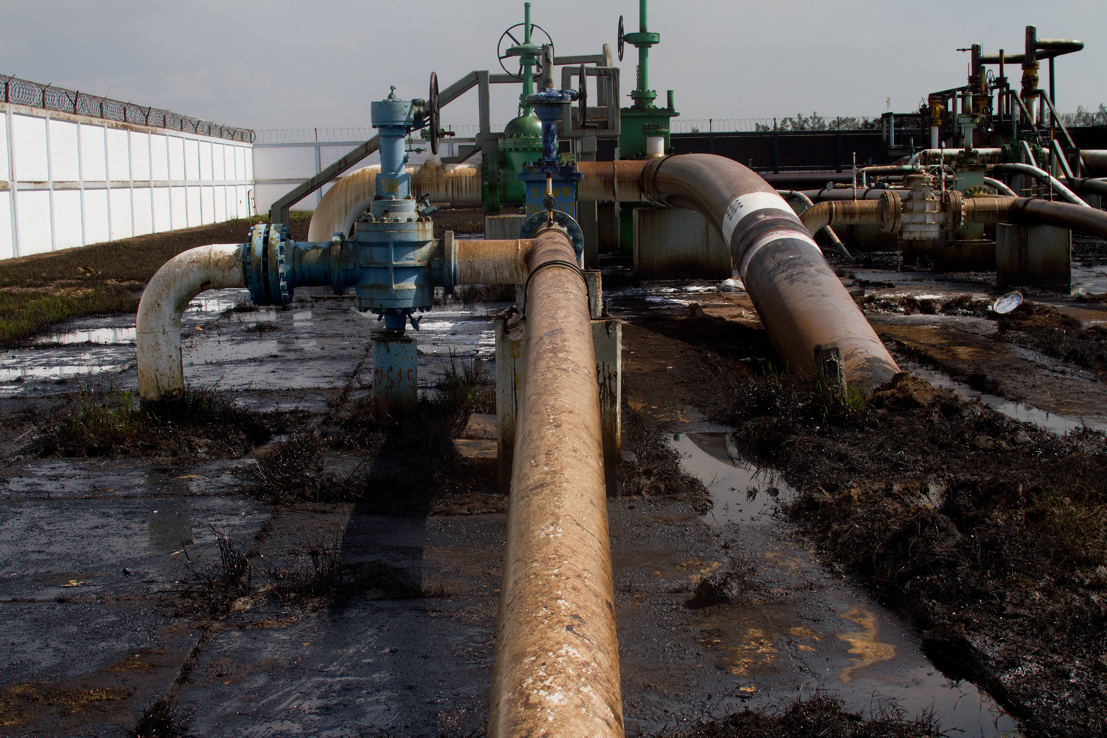 Pescadores locales limpian el petróleo crudo derramado por Pemex en el Río Coatzacoalcos el 31 de diciembre de 2011. El derrame cubrió una mancha de unos 12 kilómetros hasta la desembocadura al mar. Arbustos, peces y lirios quedaron totalmente sumergidos y más de mil pescadores perdieron su medio de subsistencia. 7 de enero de 2012. (Foto: Prometeo Lucero/Greenpeace)