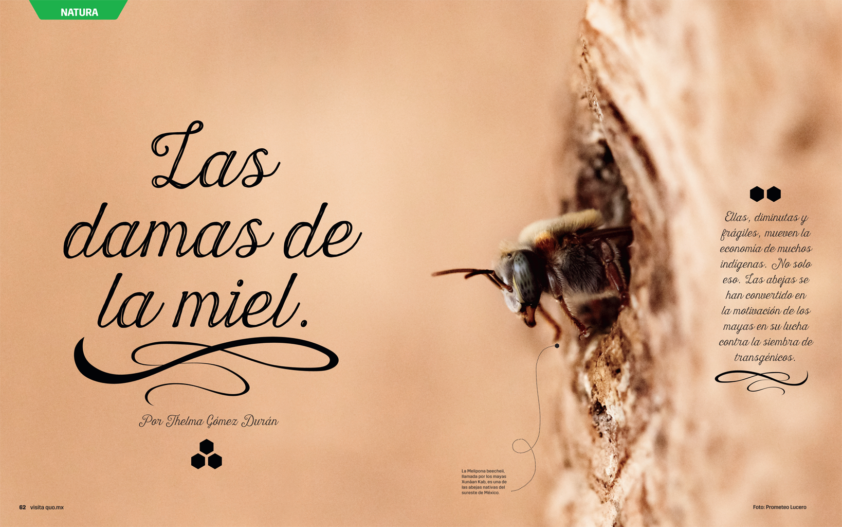 Revista QUO