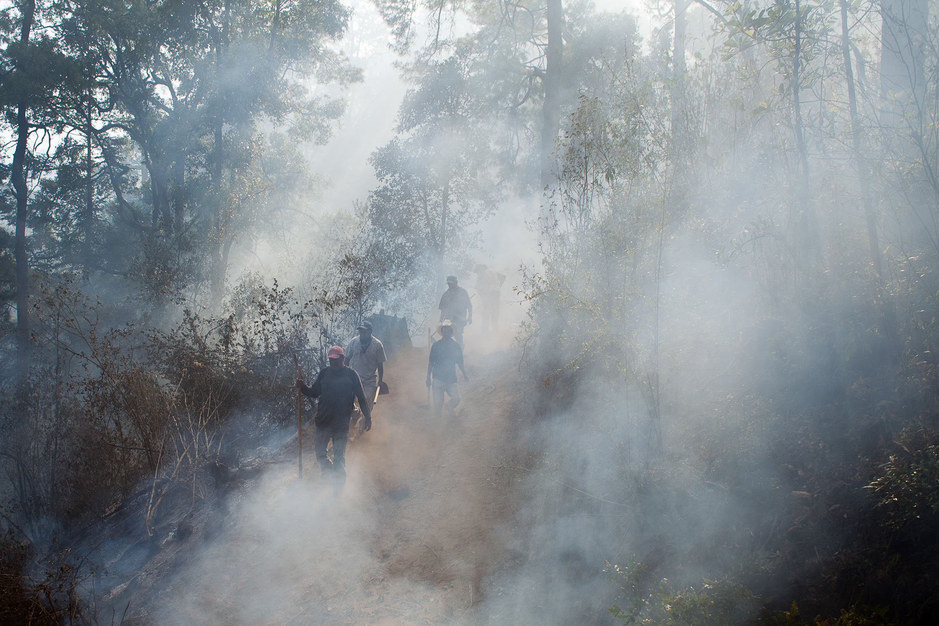 Guardabosques y voluntarios intentan apagar un incendio forestal en el Cerro de la Virgen, a 20 km al nororiente de Cherán el 15 de abril de 2013. (foto: Prometeo Lucero)