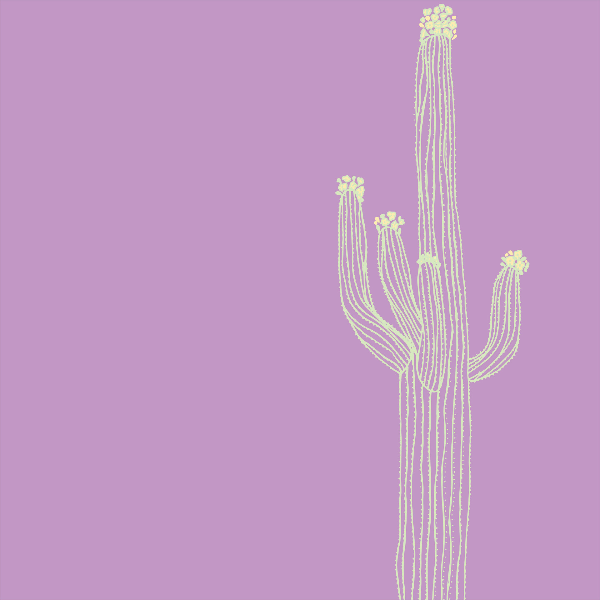flowering saguaro