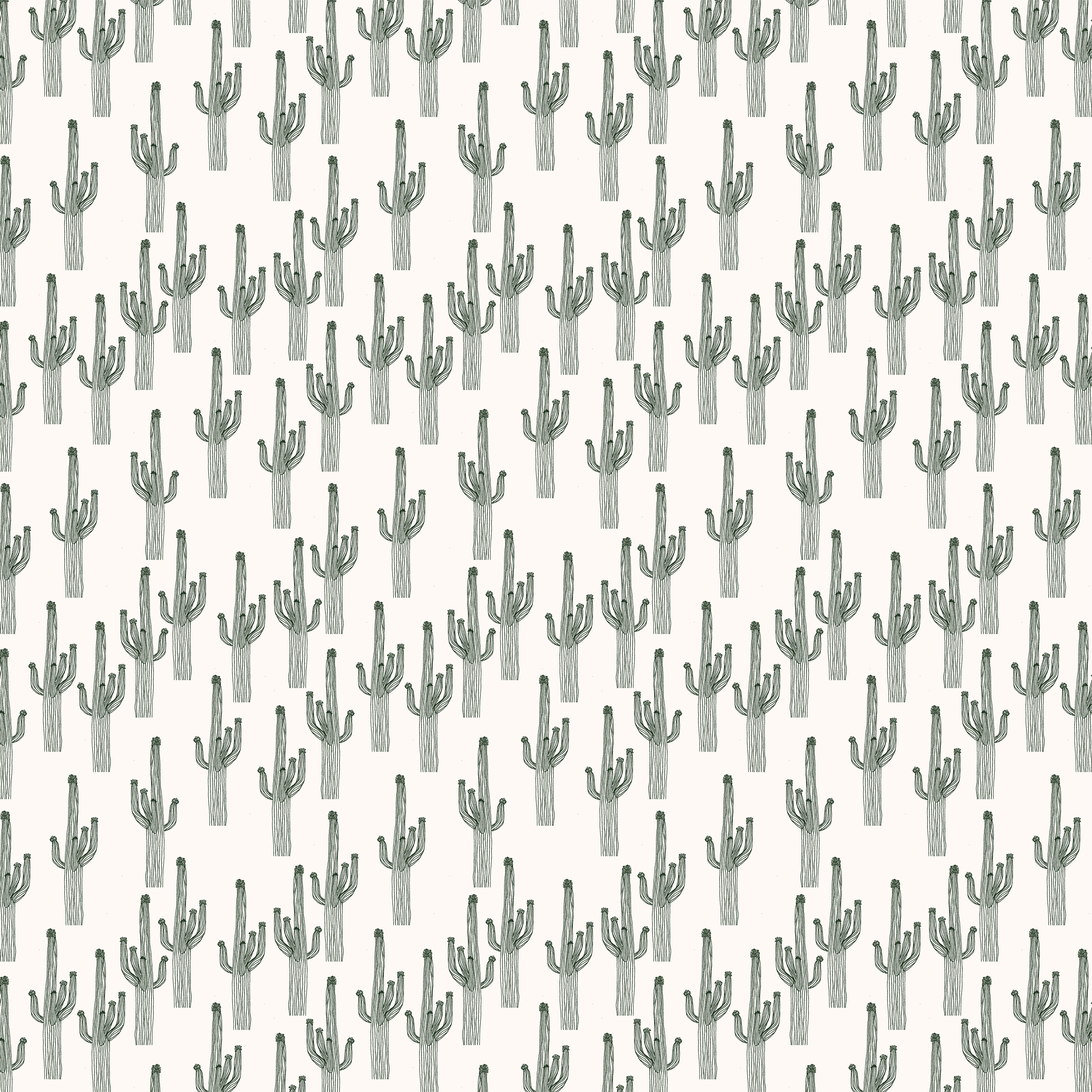cactus forest