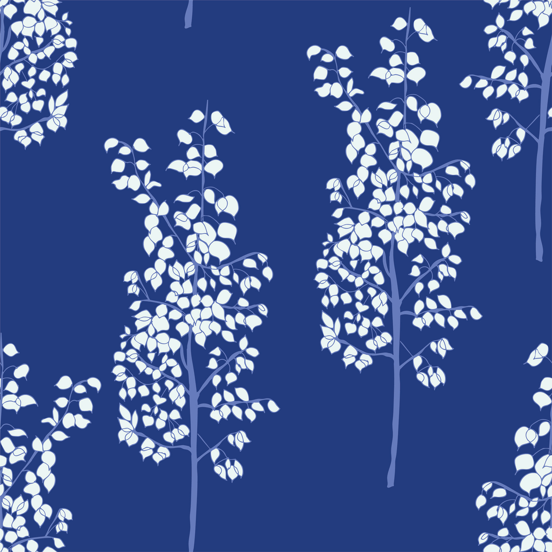 aspens in crisp / frost