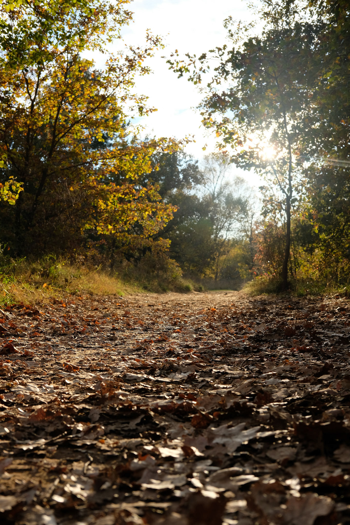 Lacoste, France, 2021