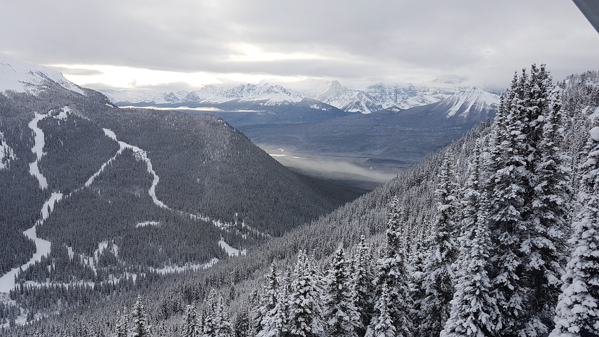 Whistler Mountain, Canada, 2019