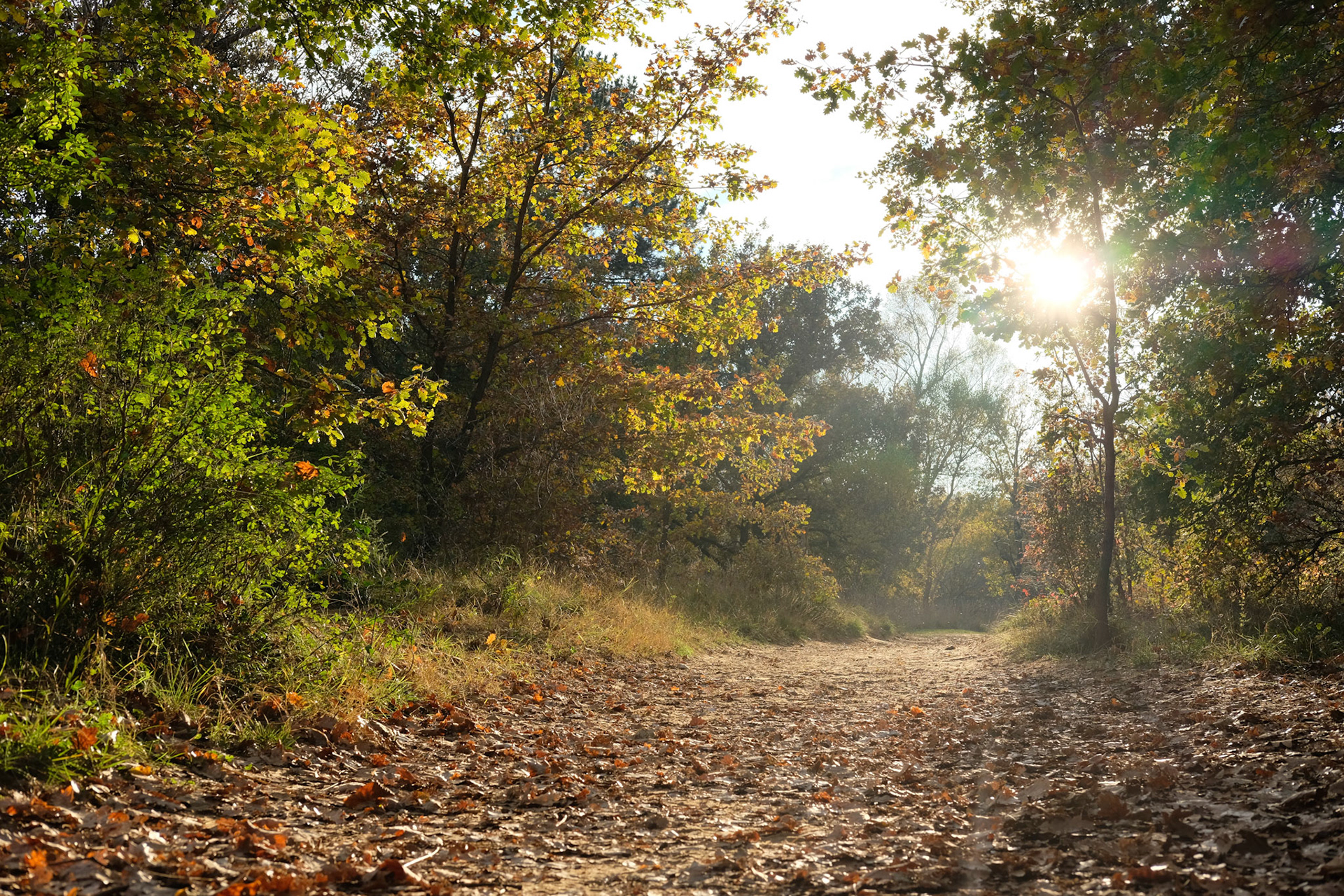 Luberon, France, 2021