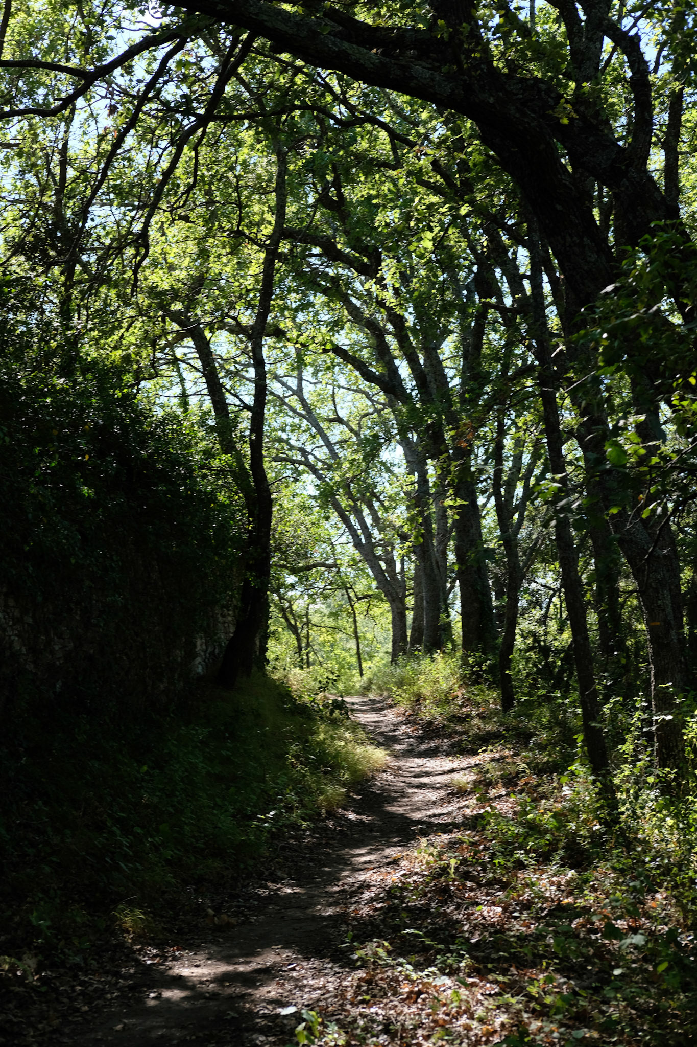 Lacoste, France, 2021