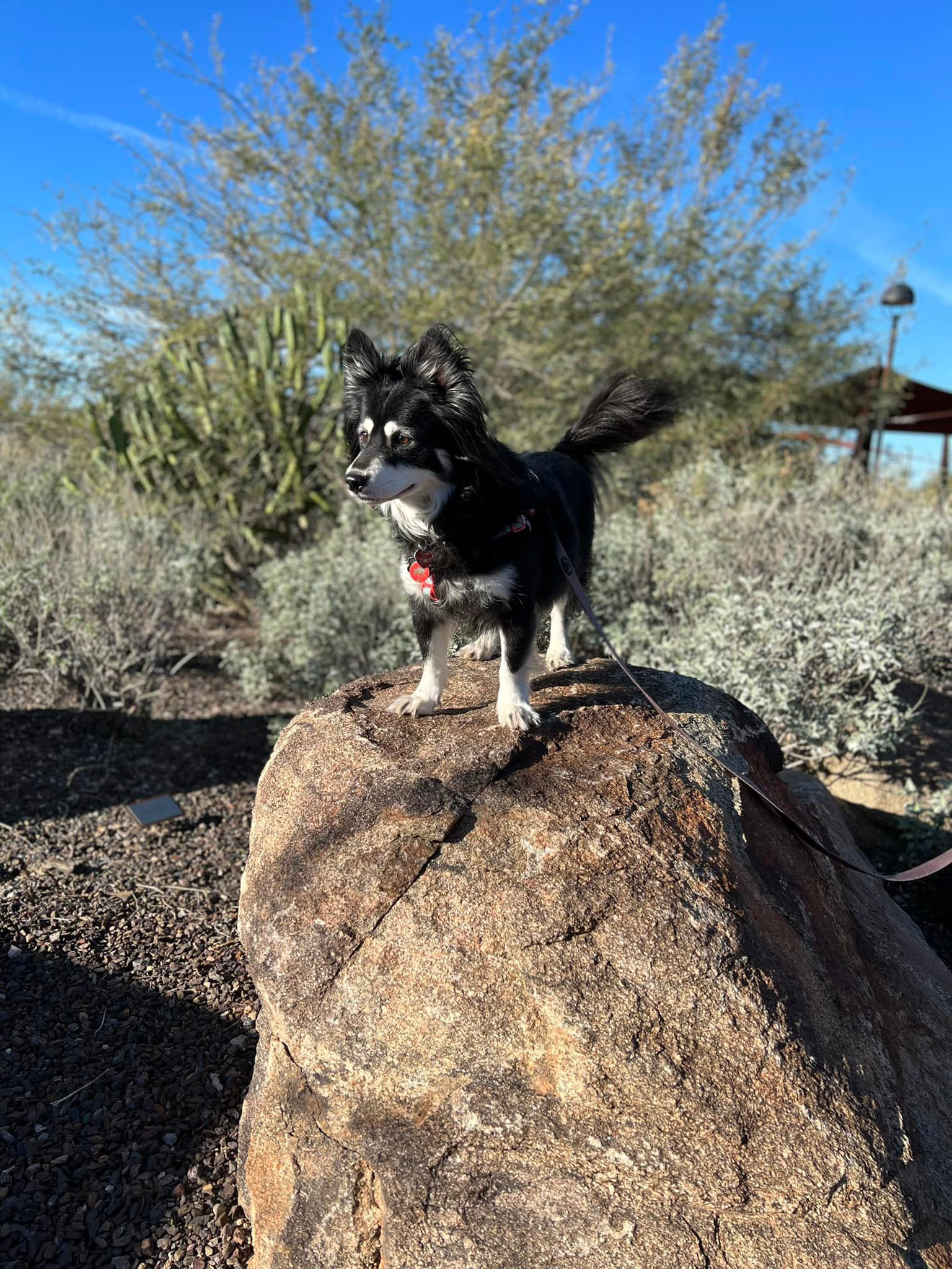 Zoey