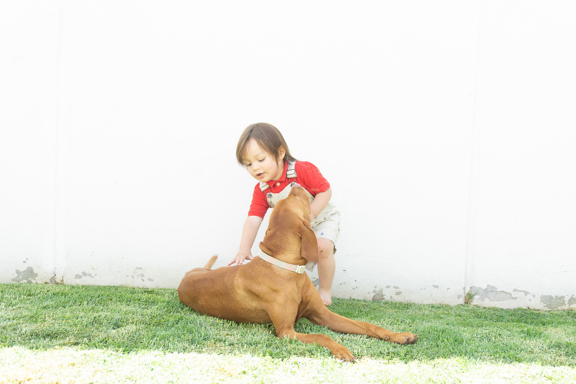 Sesión Fotográfica para Thania y su proyecto AMAR.