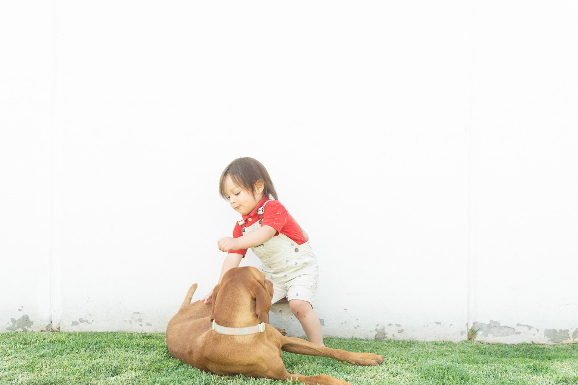 Sesión Fotográfica para Thania y su proyecto AMAR.