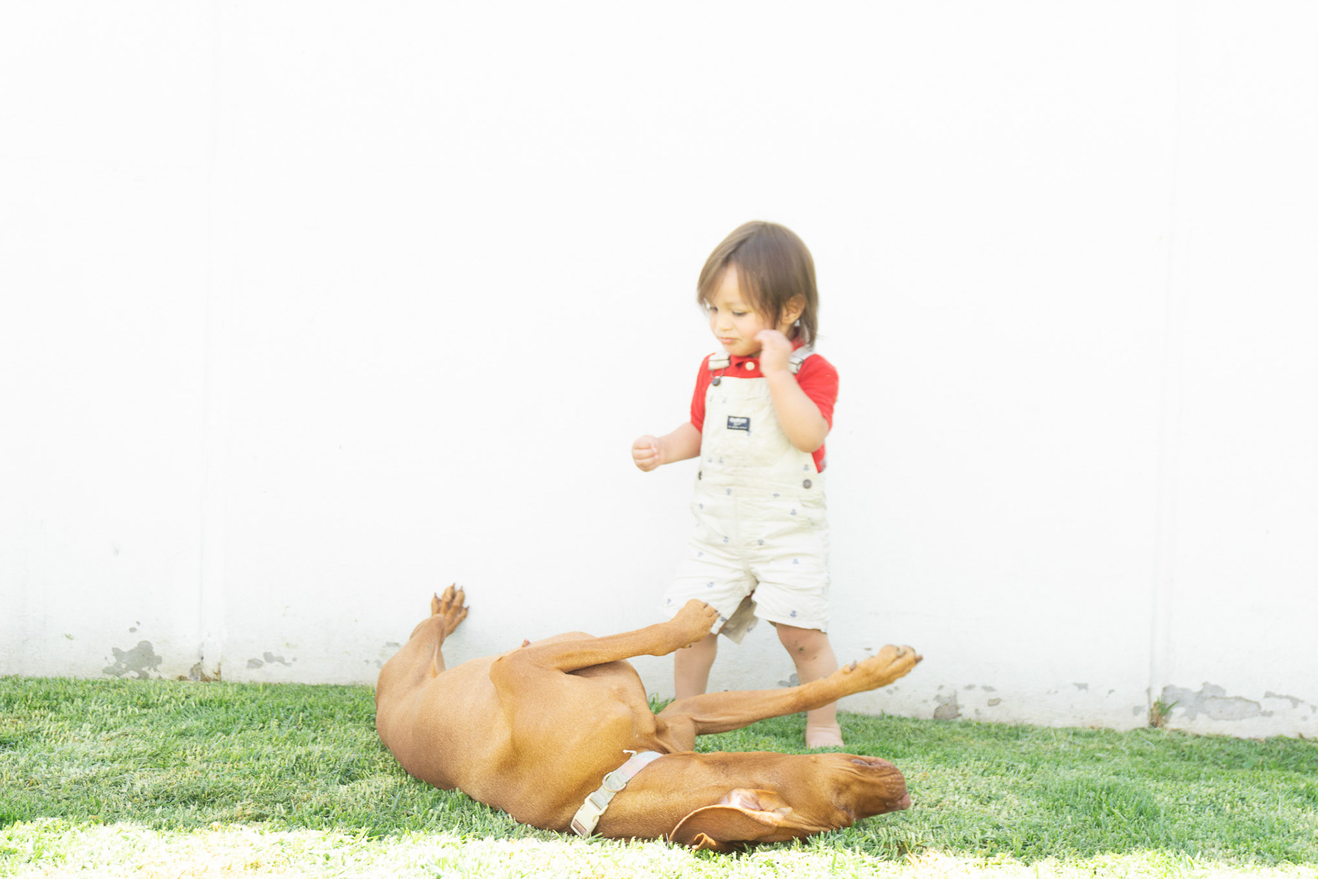 Sesión Fotográfica para Thania y su proyecto AMAR.