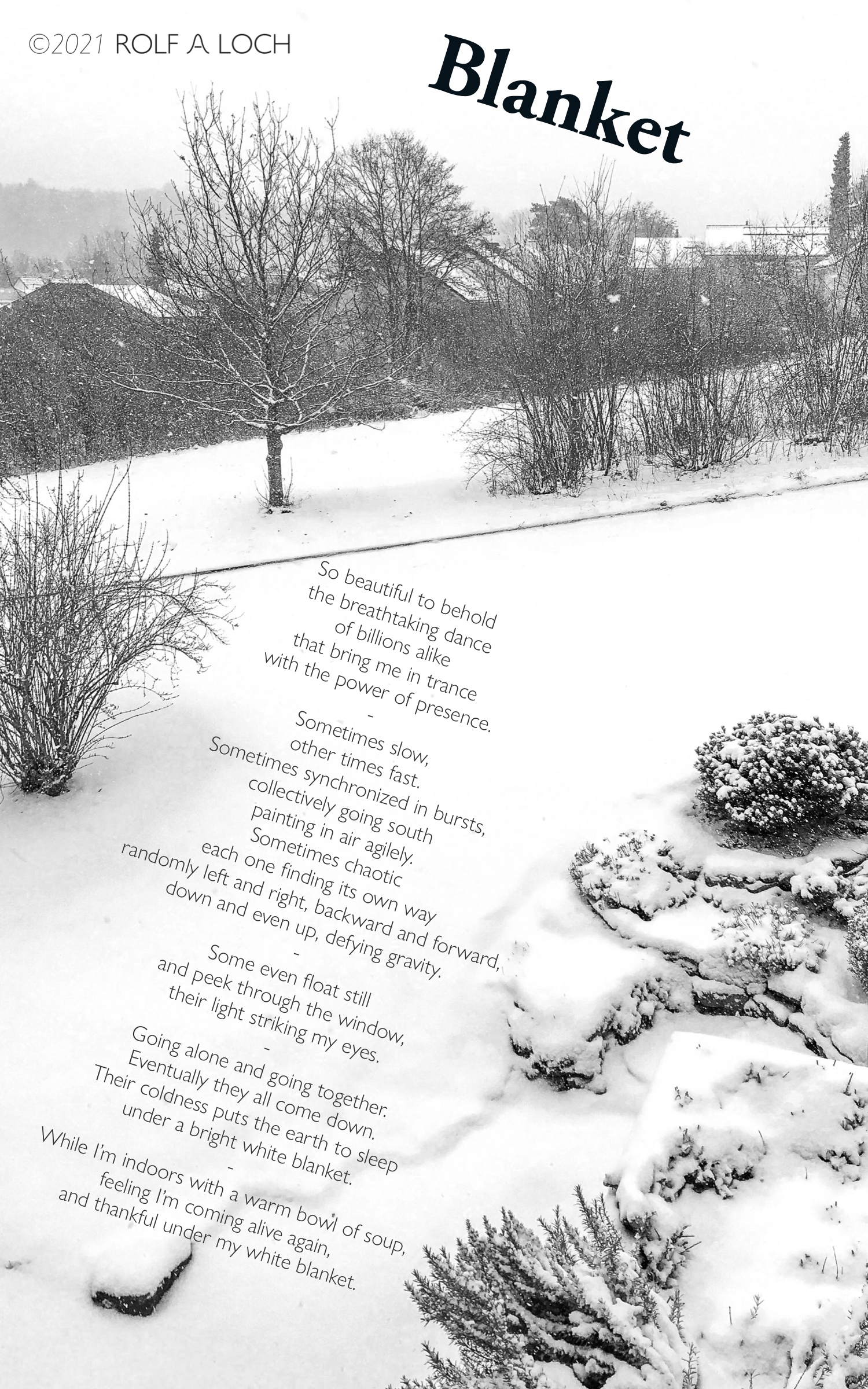 Blanket - Rolf A. Loch