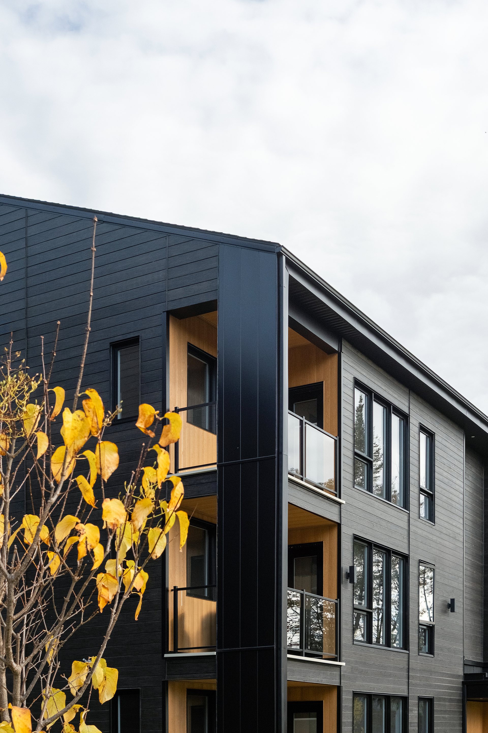 Coin avant présenter de 3/4, vue sur les balcons, premier plan: feuillage orange 
