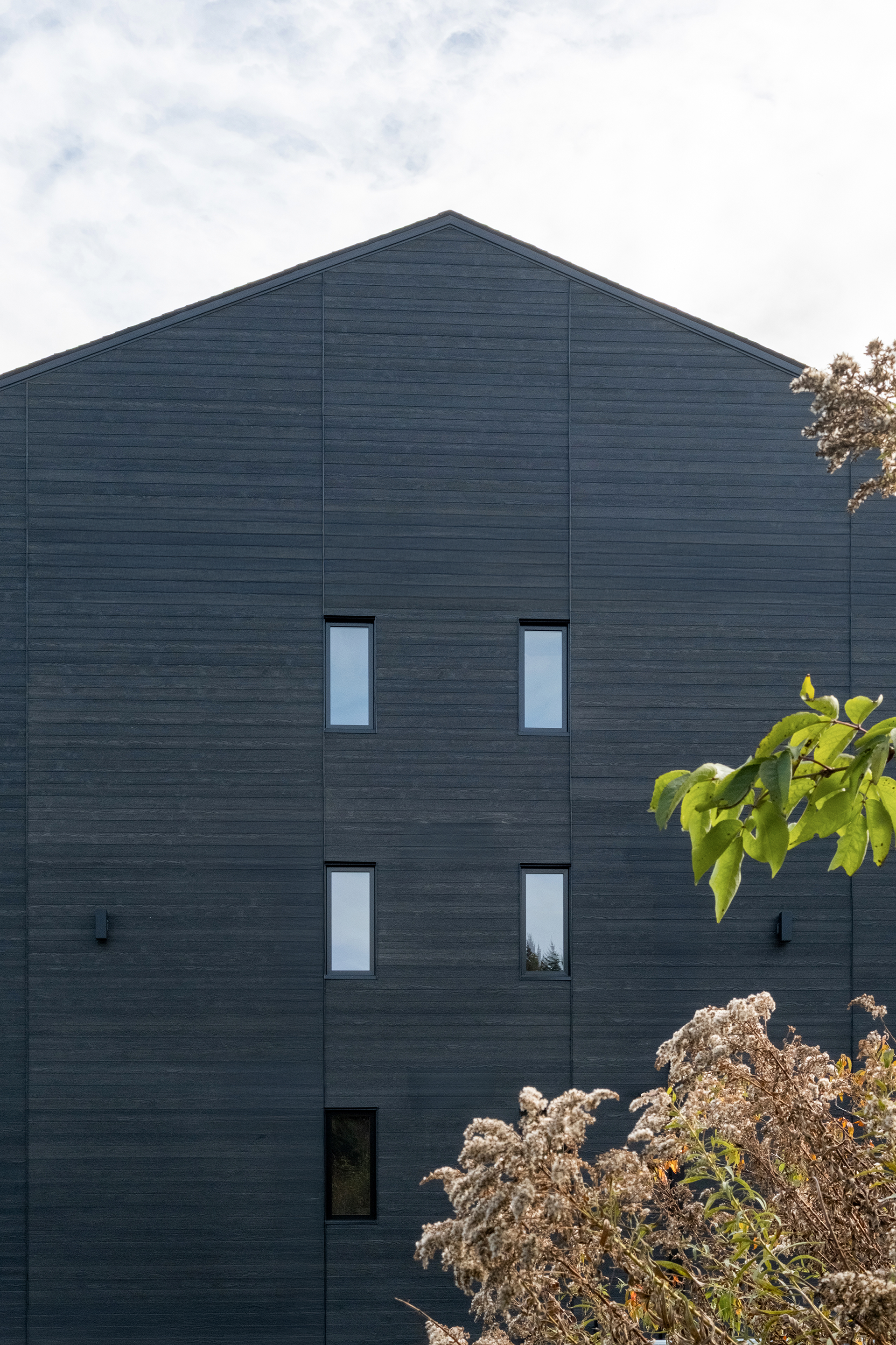 Condo vue de côté, premier plan brousaille 