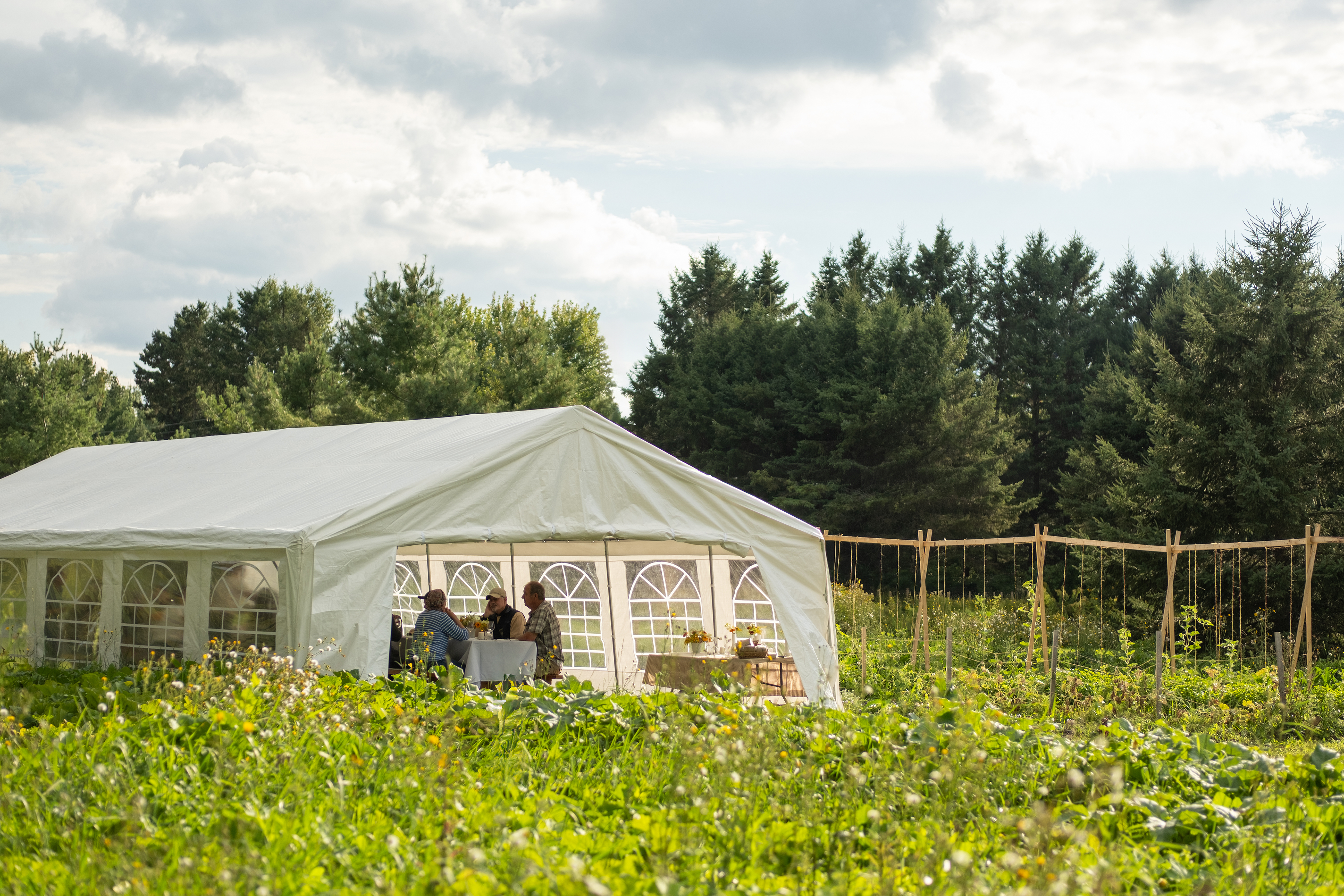 Chapiteau protégeant les clients, dans un champs en été