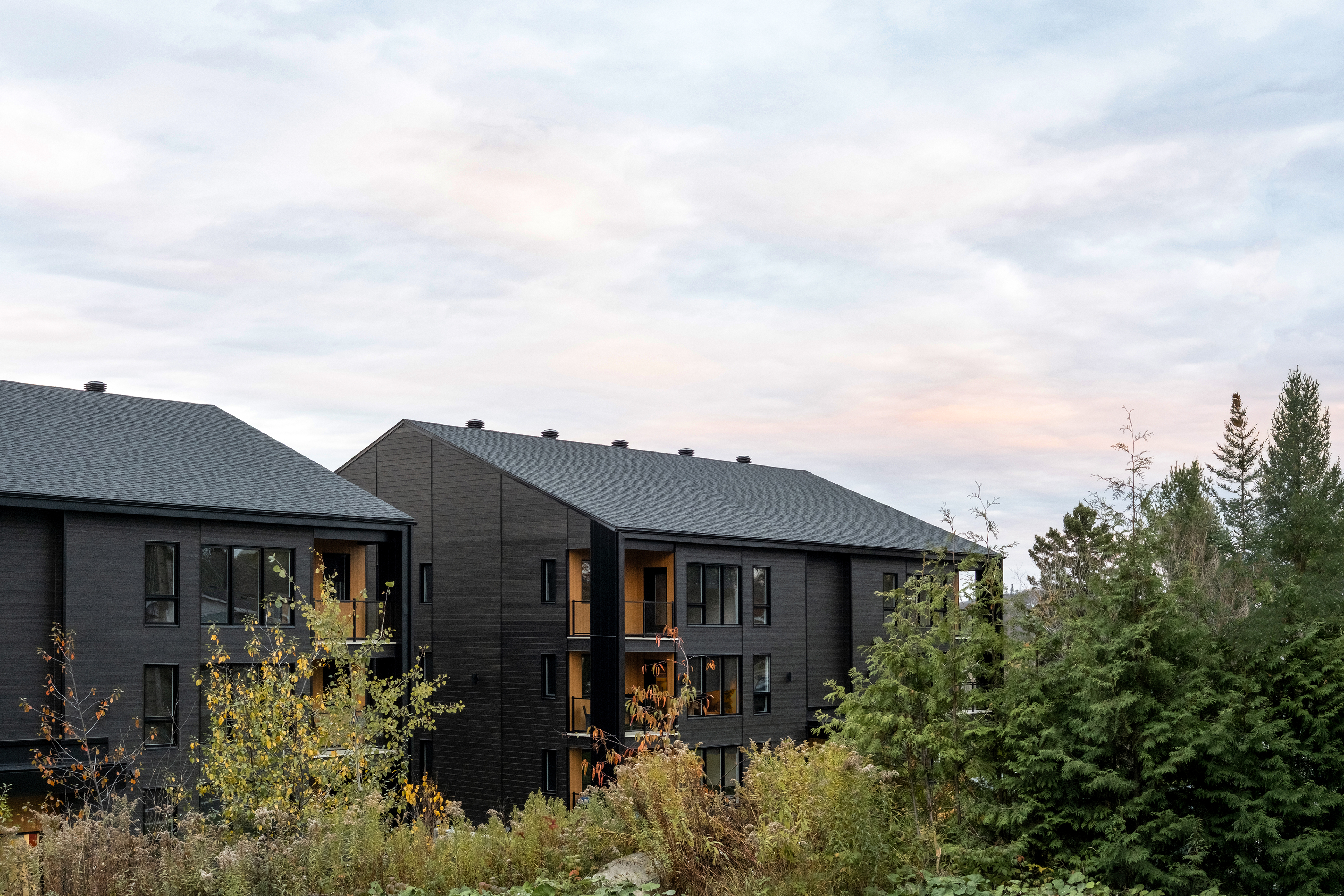 Condo vue de 3/4, avant-plan brousaille et cèdre, ciel lever de soleil