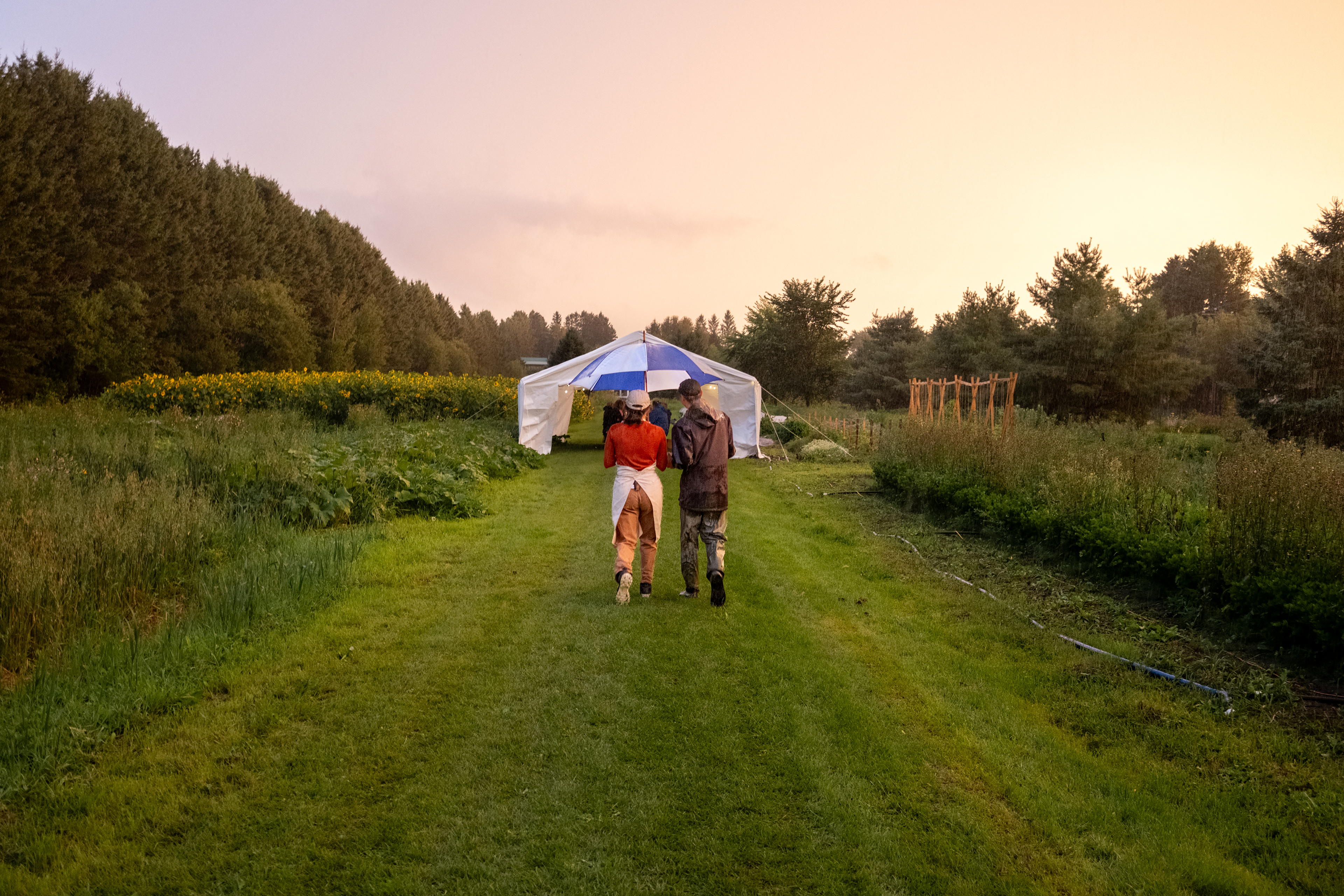 Propriétaire qui vont porter les plats à leur client sous un coucher de soleil