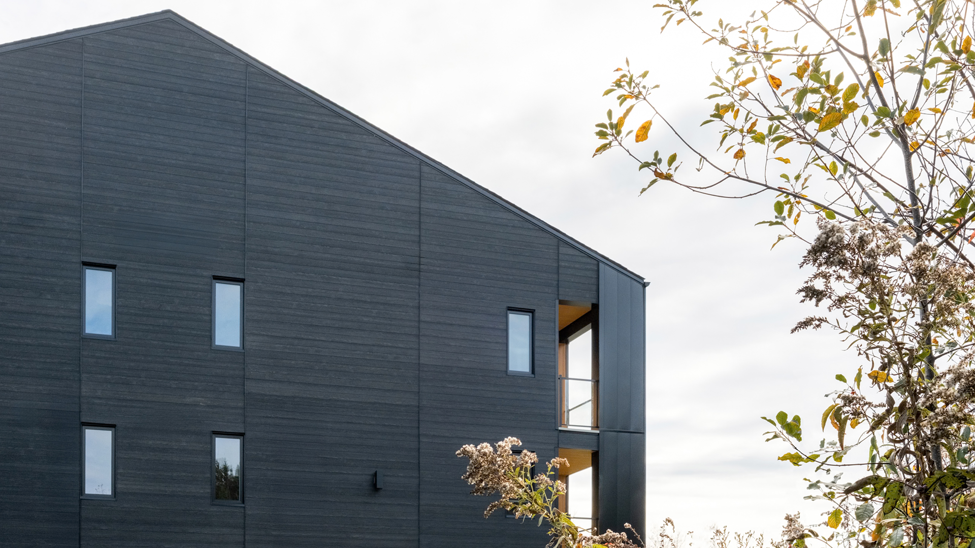 Coté d'un batiment, premier plan arbuste