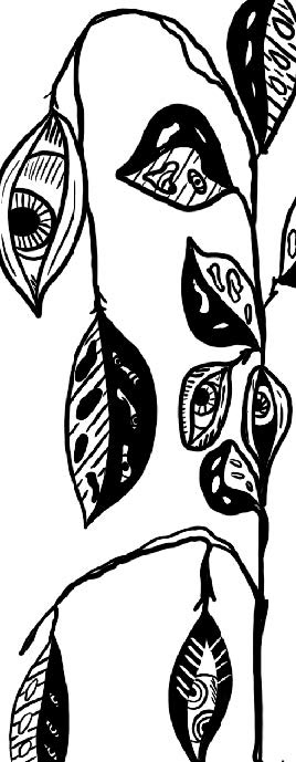 Preliminary Drawing - Design 02
