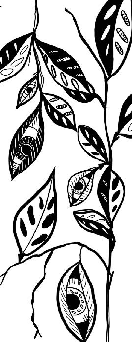 Preliminary Drawing - Design 01