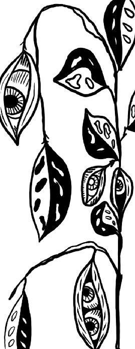 Preliminary Drawing - Design 03