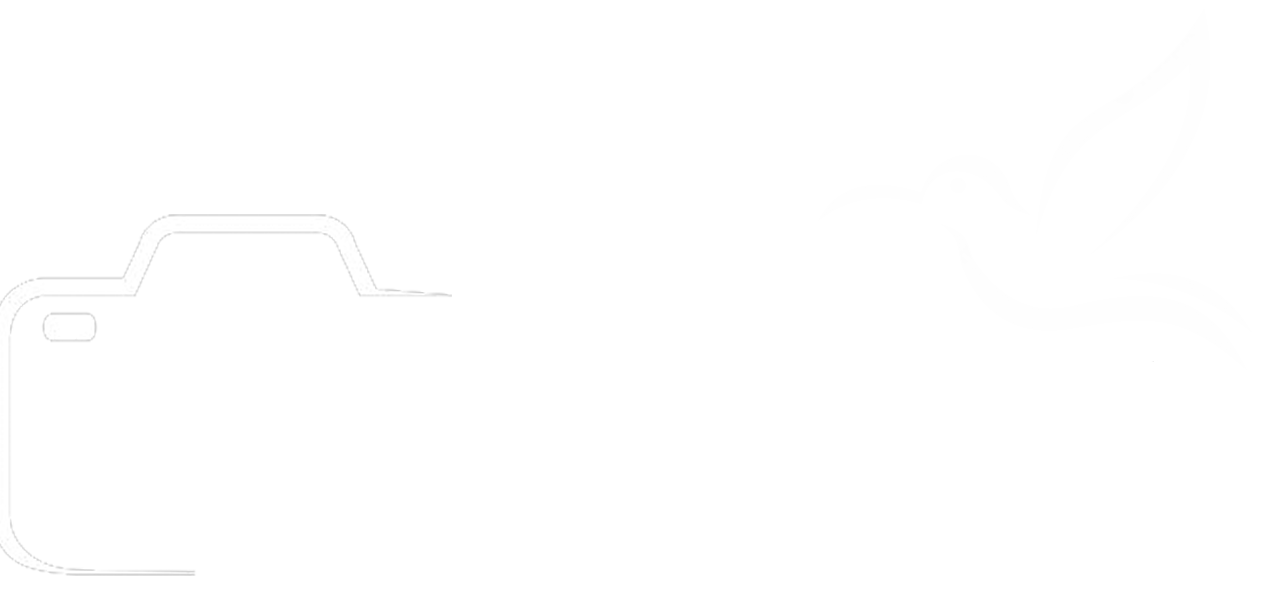 GustavoPalacios.com