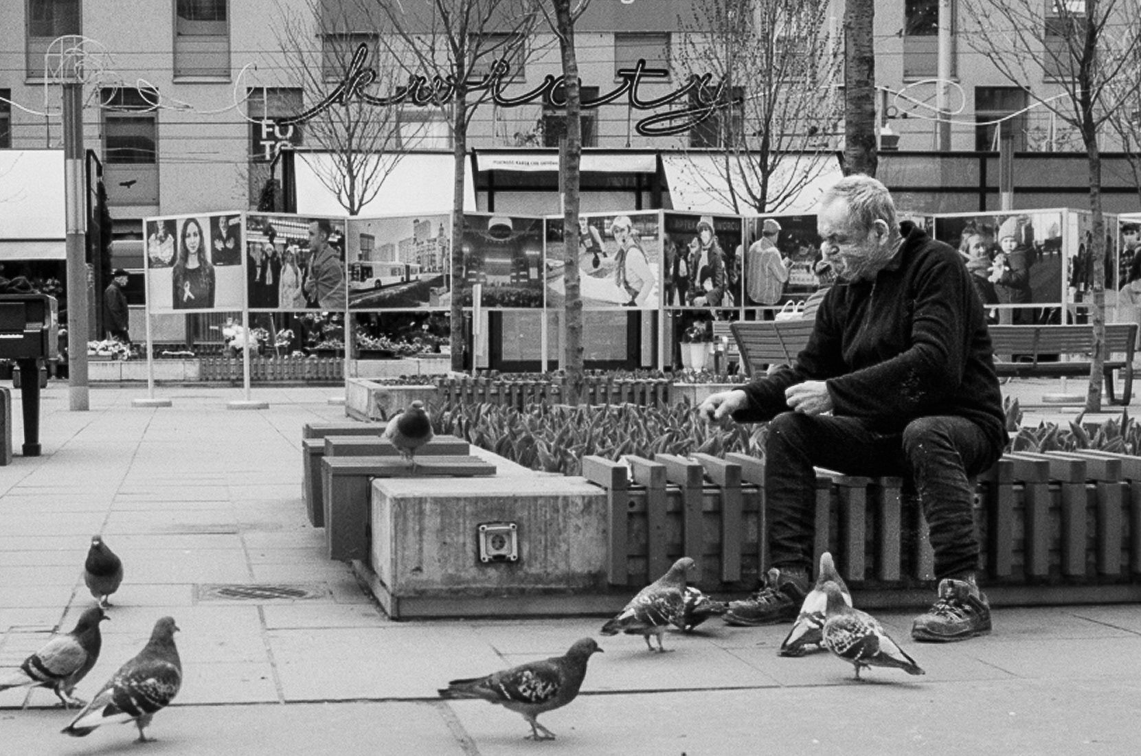 Birdman