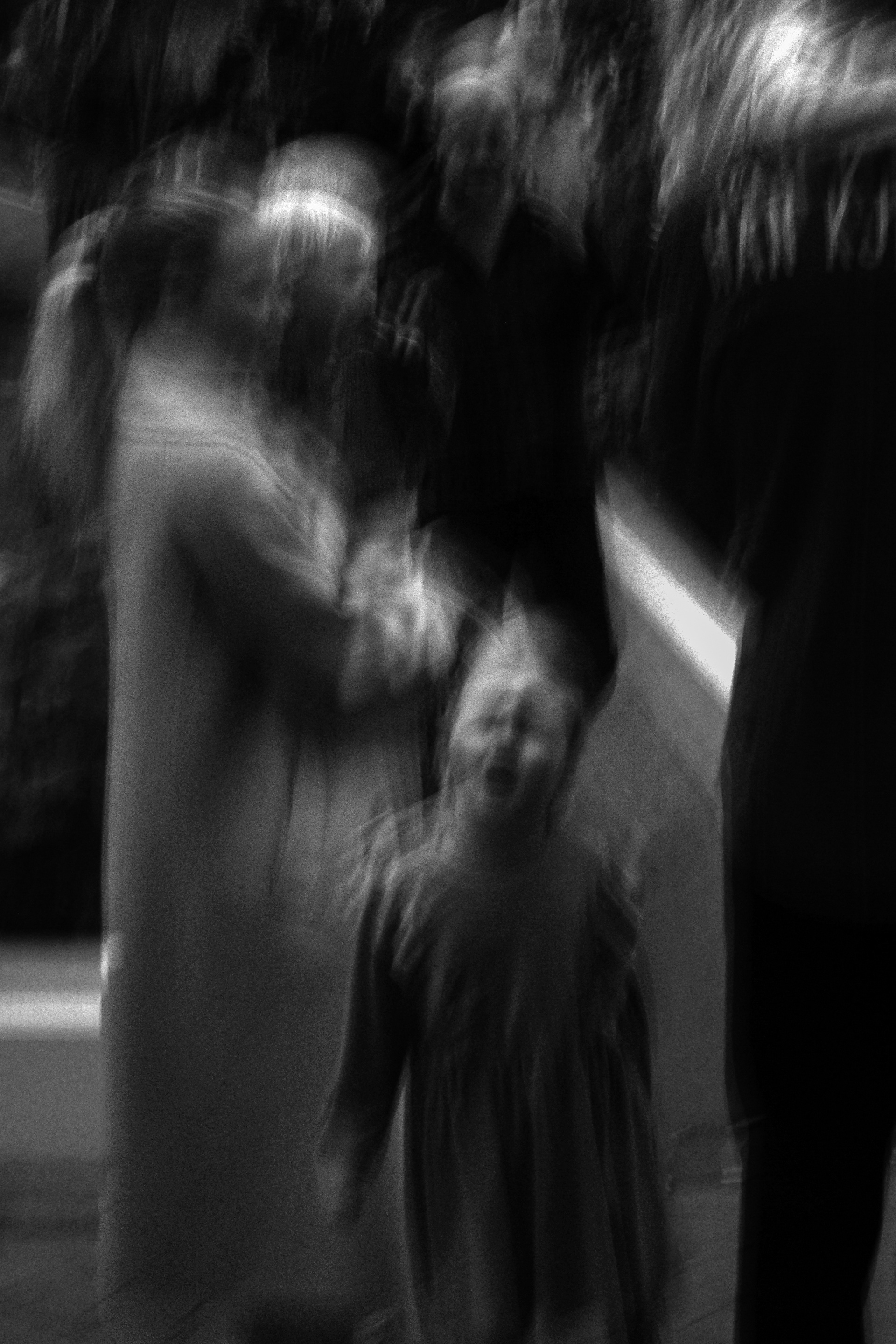 Family Fun / Fjölskylduhátíð