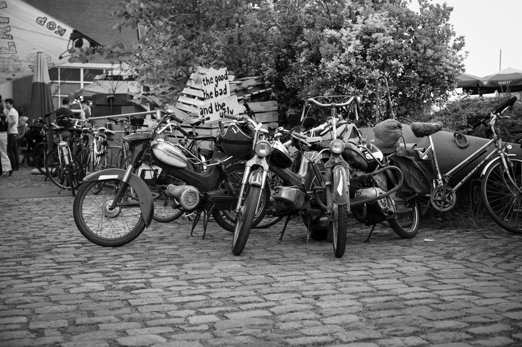 20220818_Voor_Mark_Stormkop