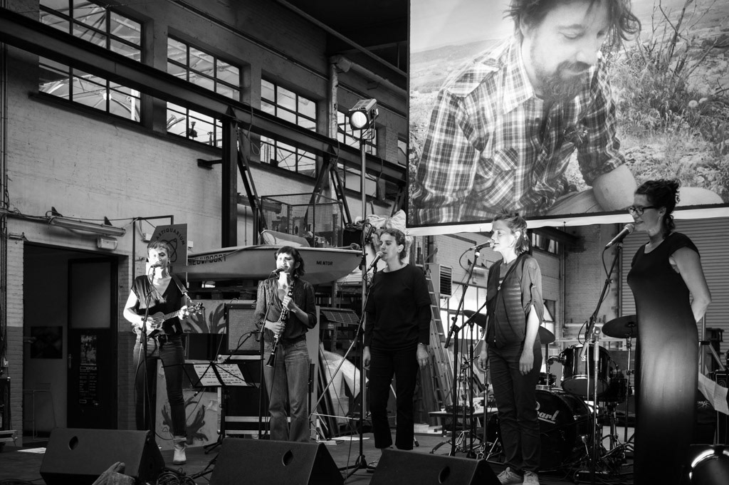 20220818_Voor_Mark_Stormkop