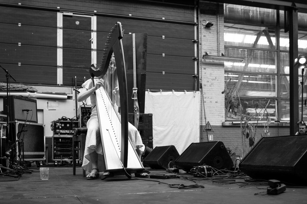 20220818_Voor_Mark_Stormkop