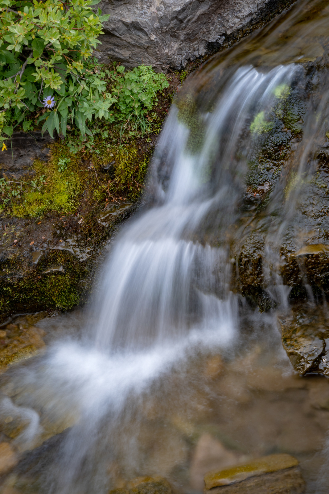 Lunch Creek