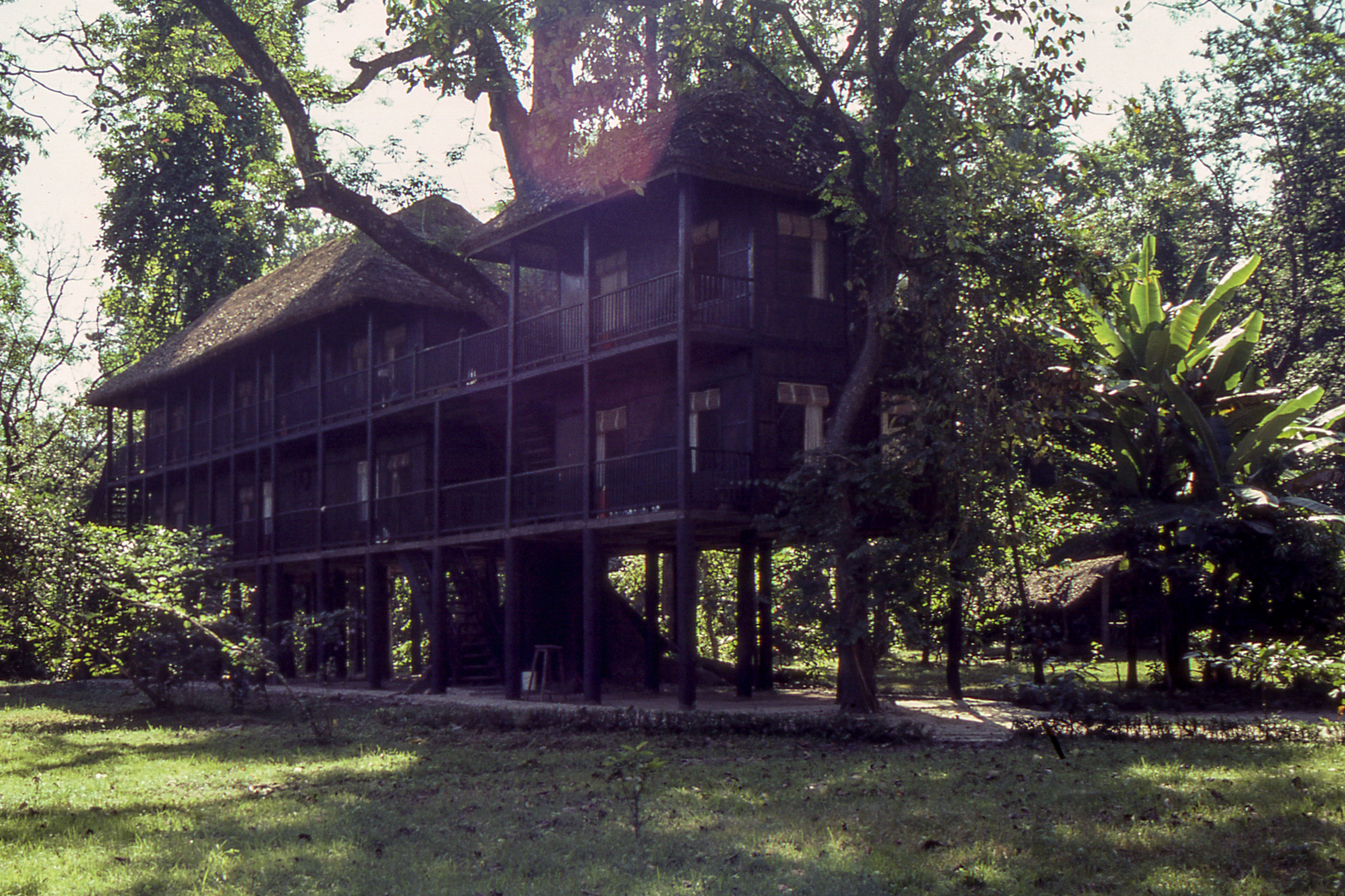 tiger tops jungle lodge